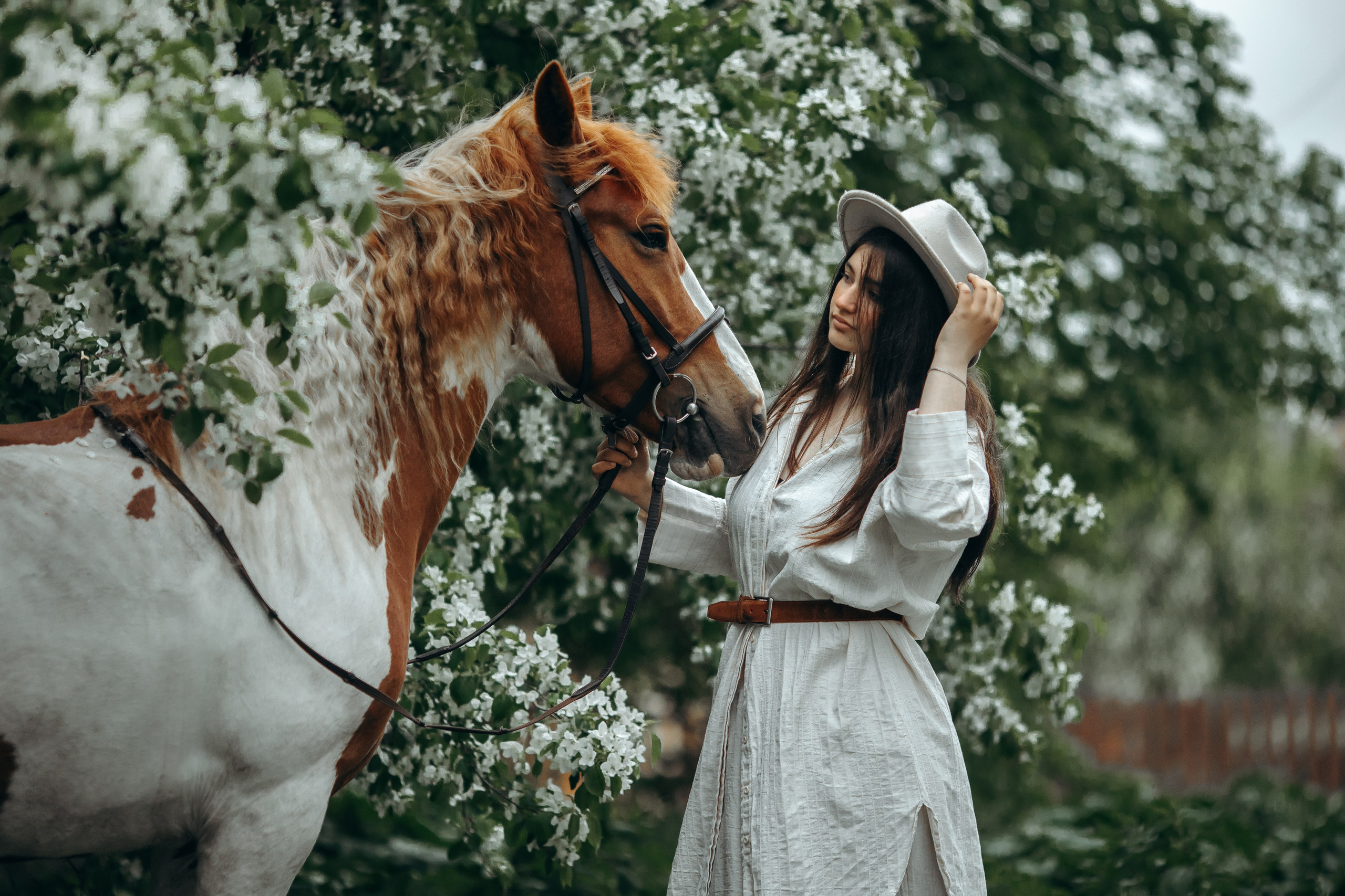 Весенние цветения. Анна Молчанова конный фотограф в Тюмени | фотосессии с лошадьми Тюмень