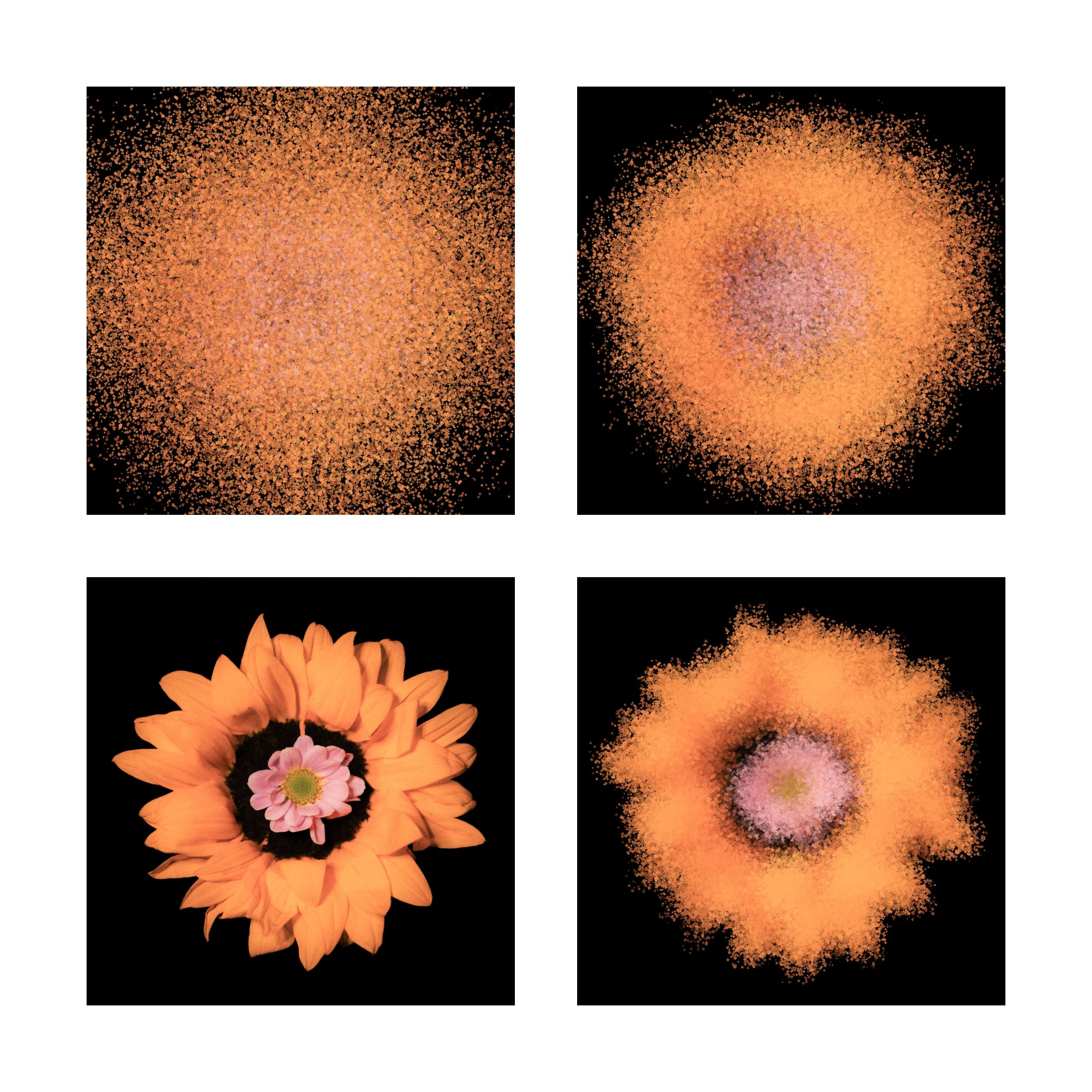 Единство (серия). Мистические фотосессии в Санкт-Петербурге от мистика Ильи Шенгелия