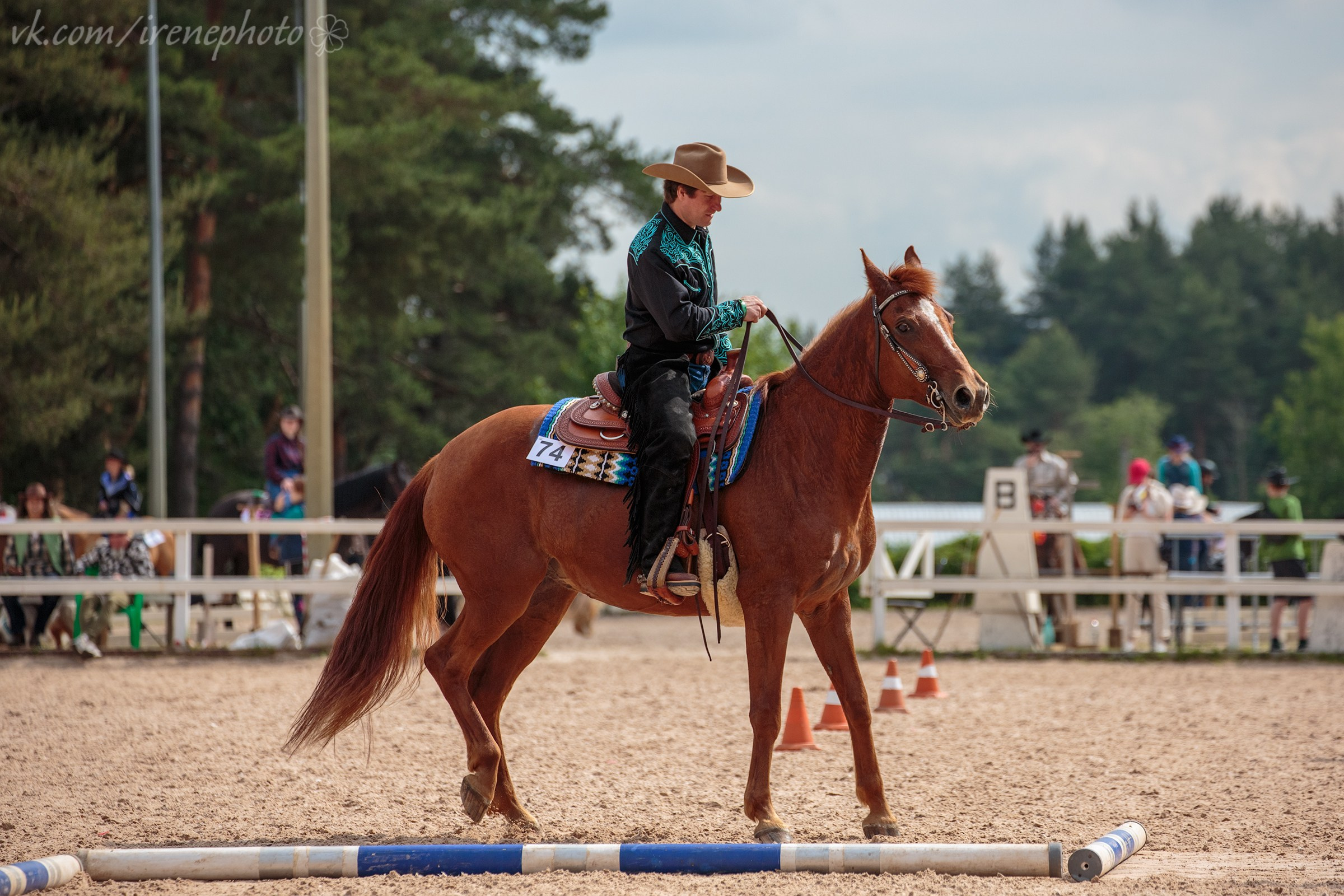 Иппосфера 2024. Irenephoto.ru