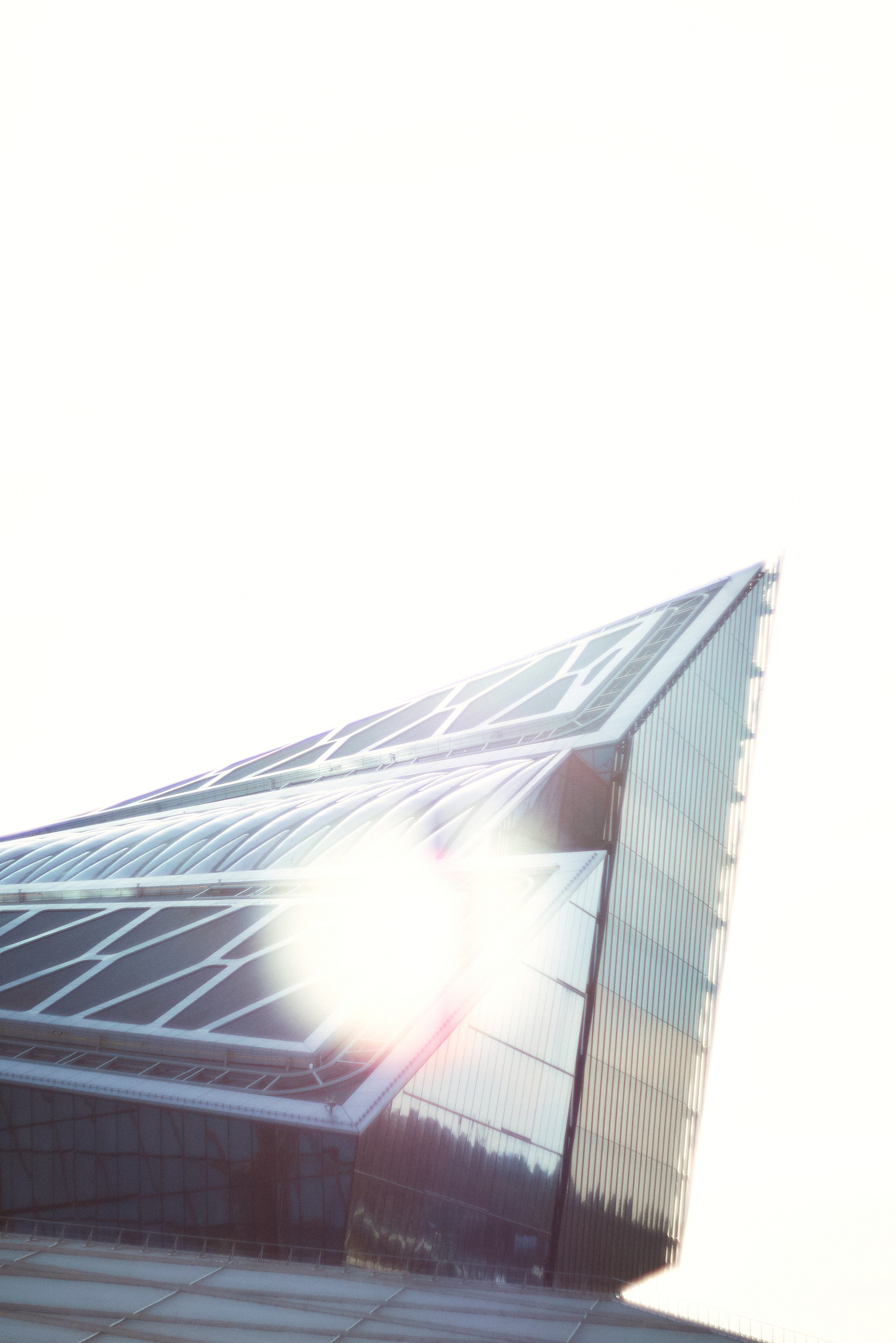 L19. Свадебный фотограф Санкт-Петербург DanyaPhotoart