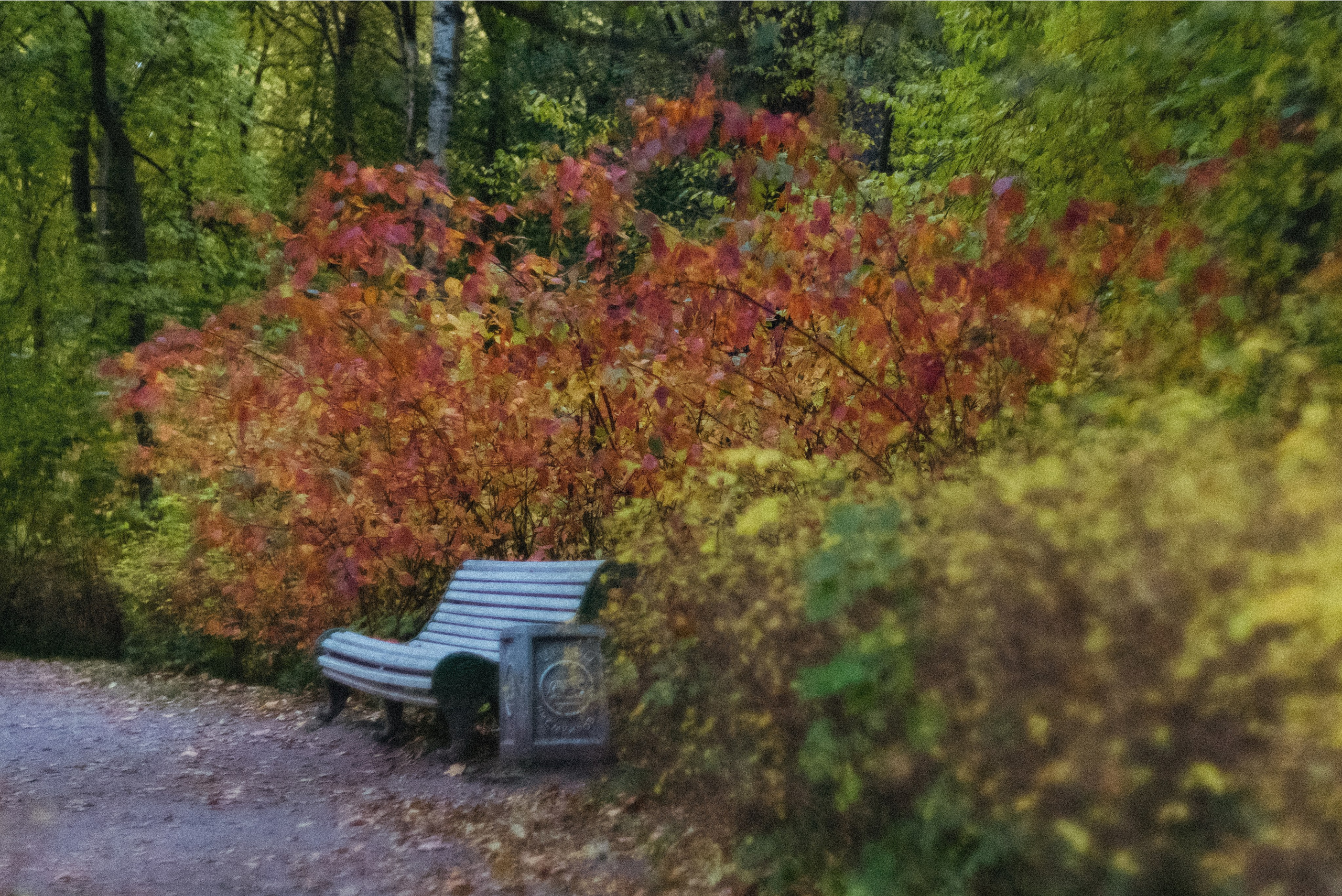 Autumn. Свадебный фотограф Санкт-Петербург DanyaPhotoart