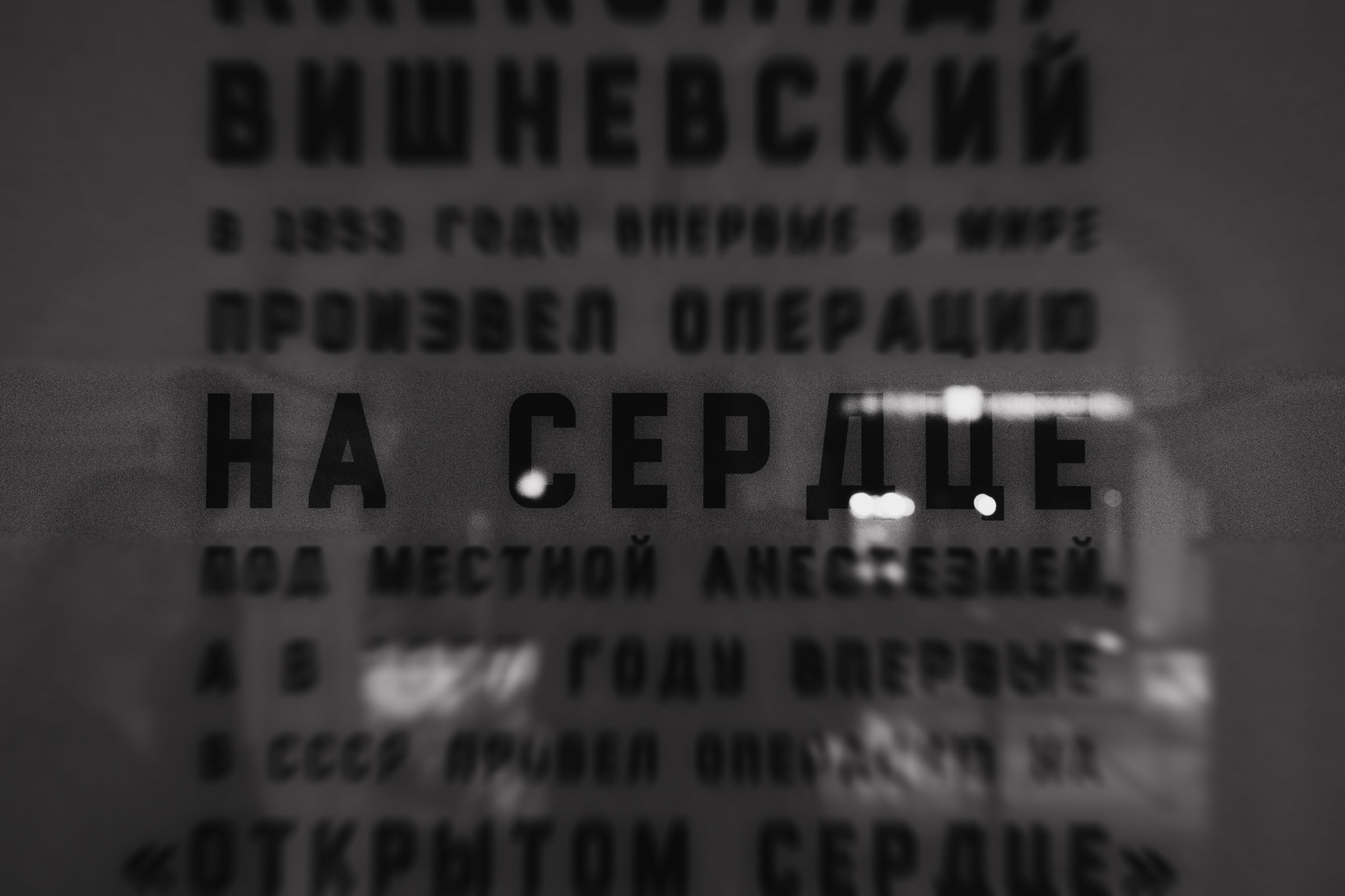 Жизнь одна. потратьте ее на любовь. Фотограф Daria Wilner