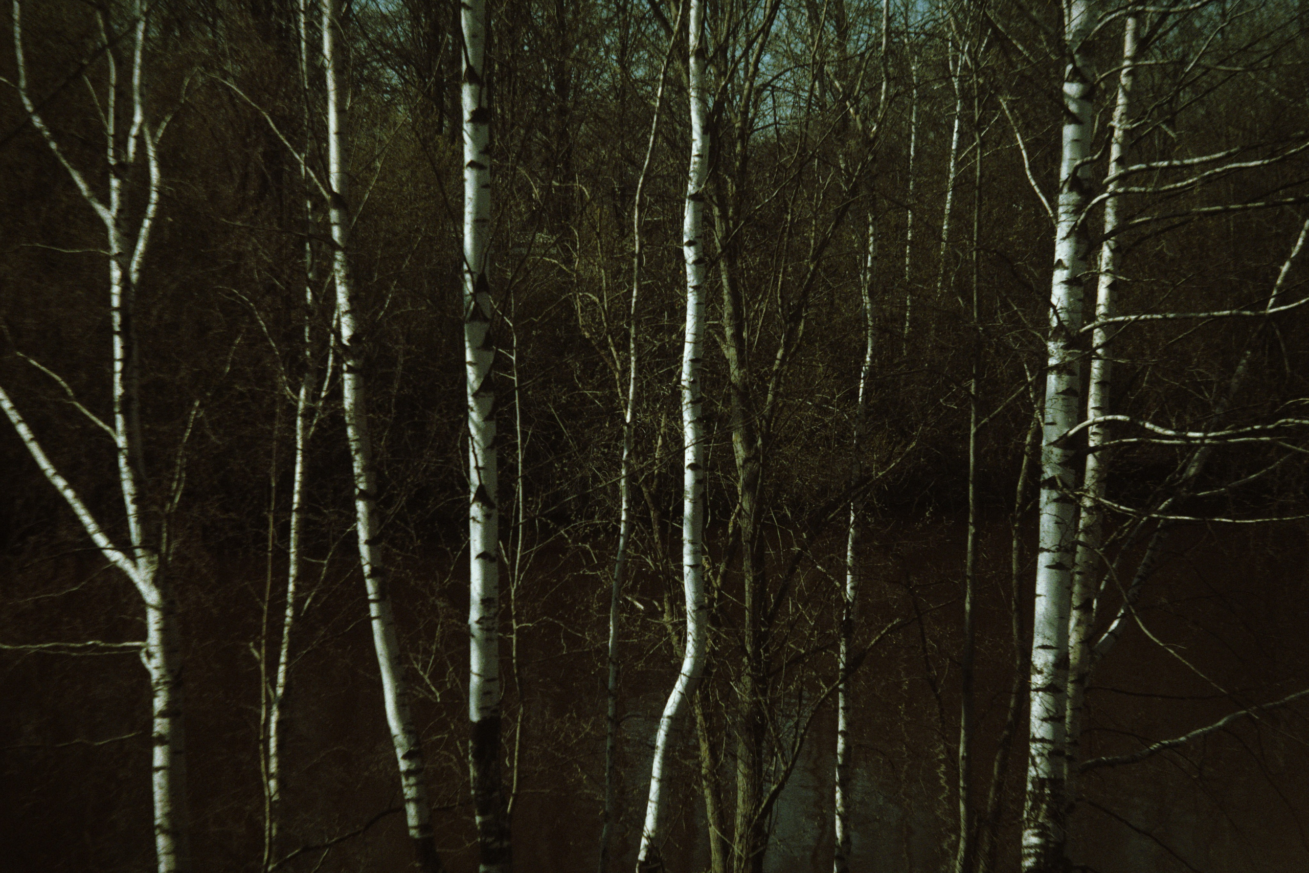 Bardo / Цветущие сны. Роман Ходырев — художник, фотограф, музыкант, эзотериолог. Санкт-Петербург, Рига