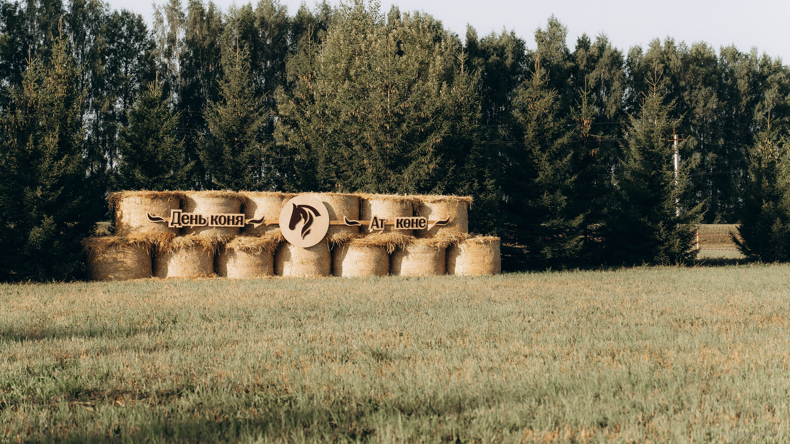 День Коня. Алиса Никитцова | Фотограф в Казани