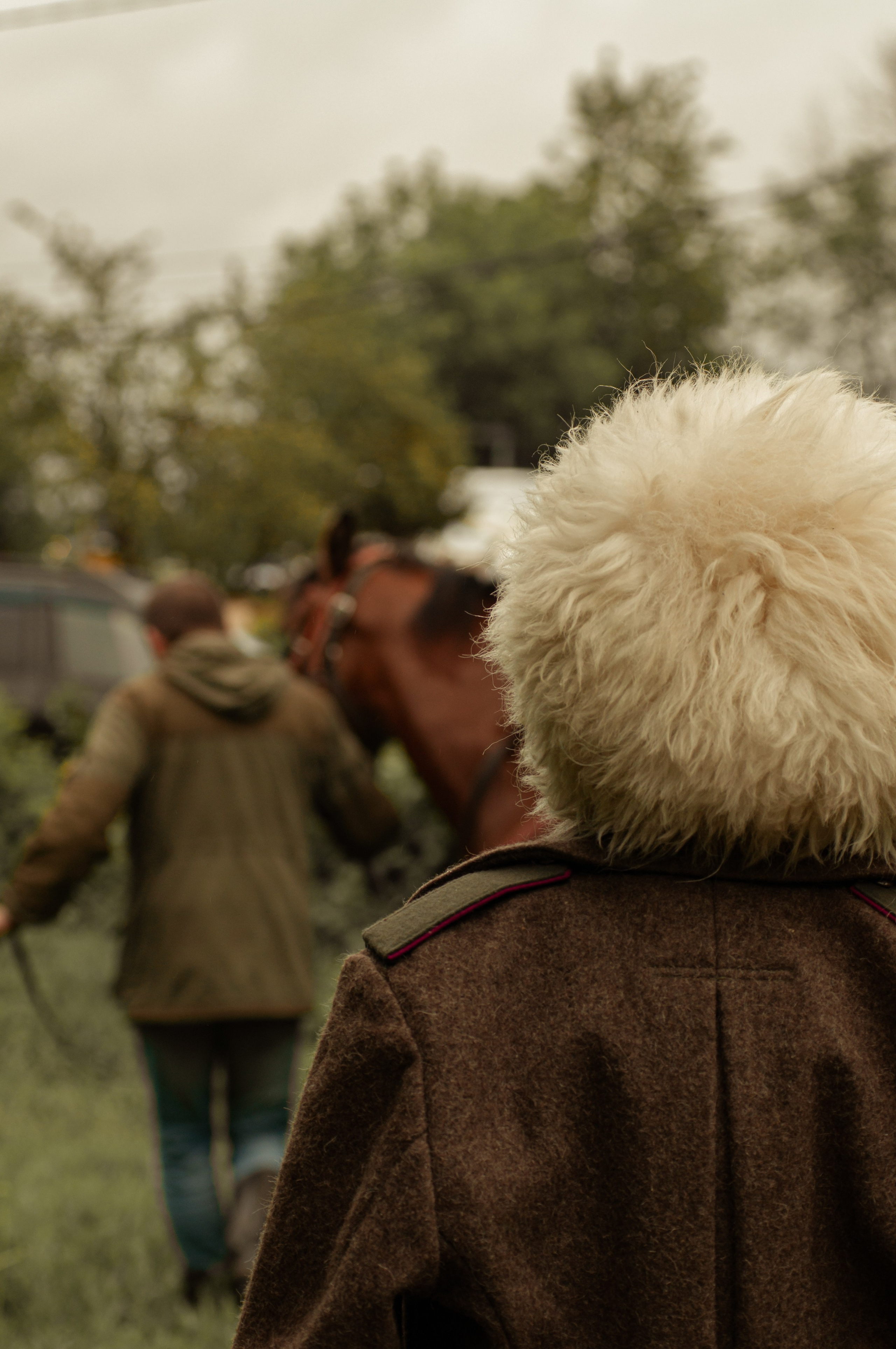 Прогулка с конём. Алиса Никитцова | Фотограф в Казани