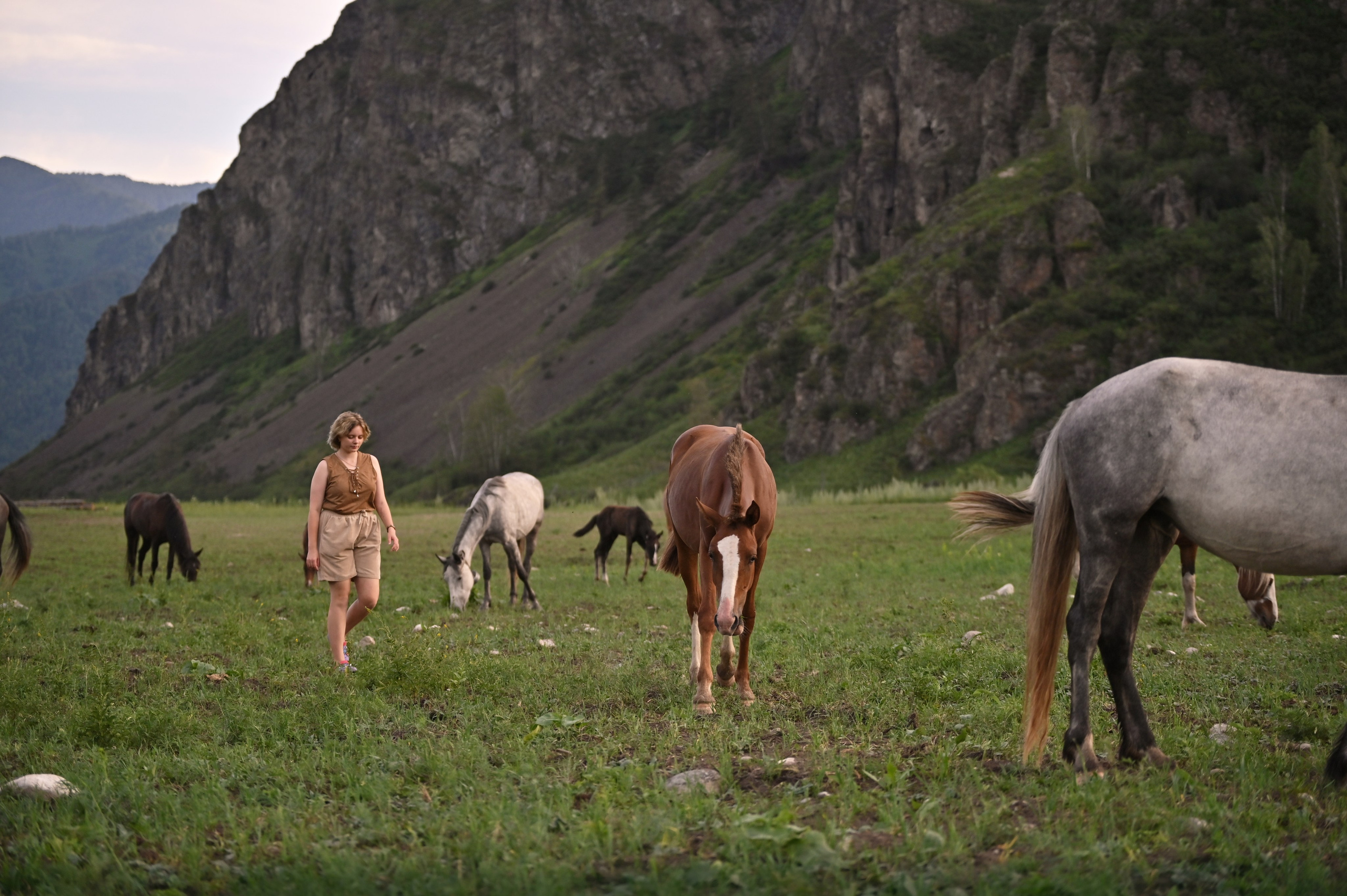 КОННЫЙ ПОХОД ПО АЛТАЮ. Уникальные экспедиции — LUCKY CLAN