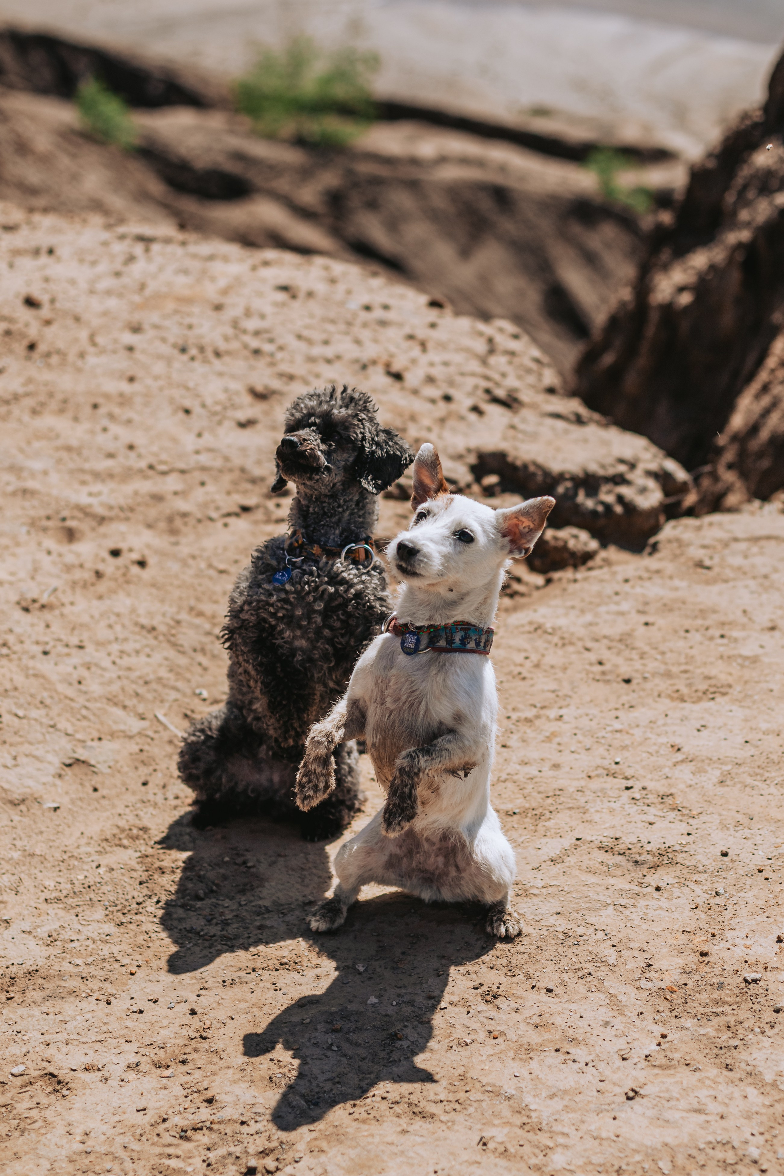 Кондуки. Фотограф-анималист Татьяна Степанова