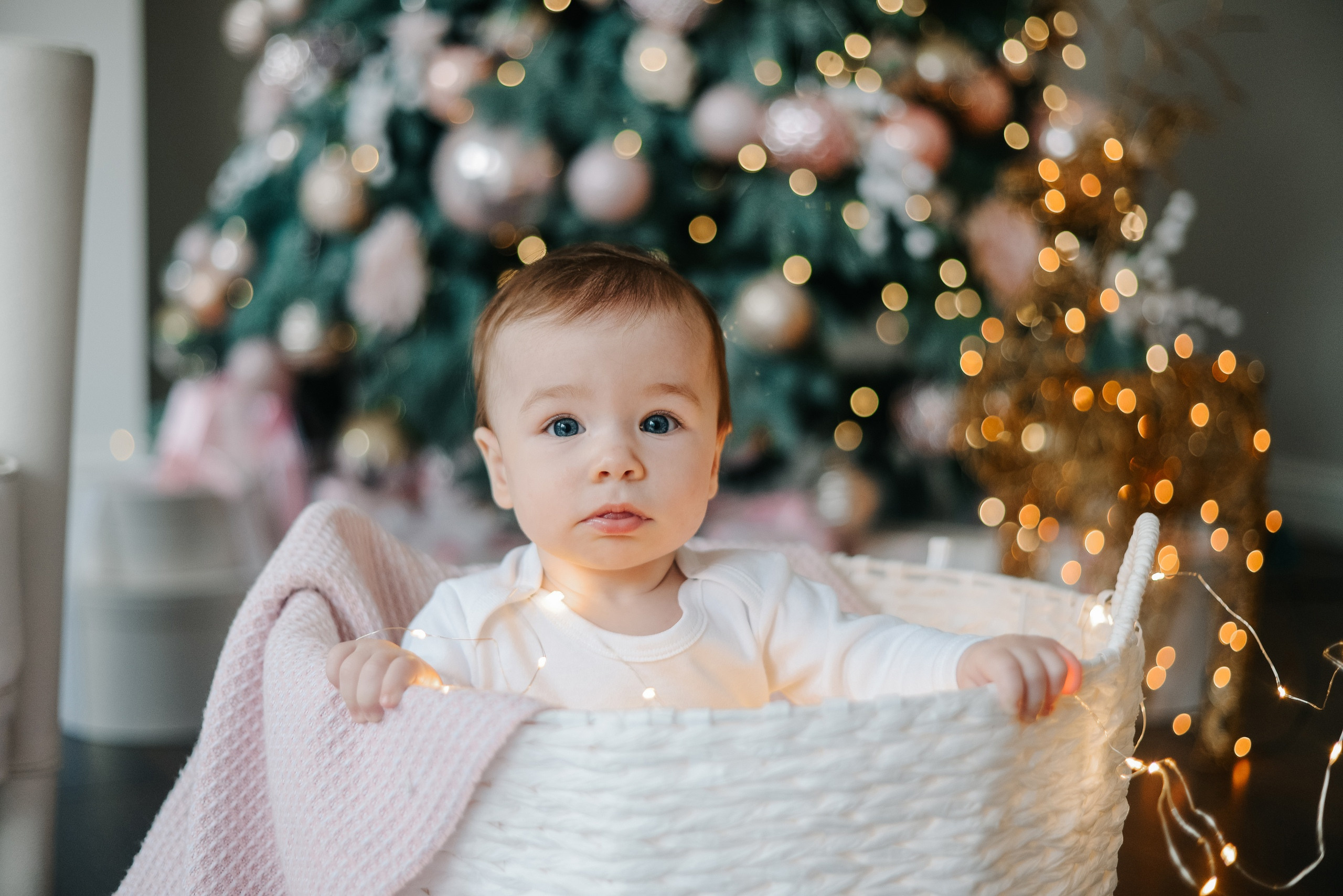 Виктор и Екатерина. Свадебный и семейный фотограф Ростов-на-Дону Евгения Борисова