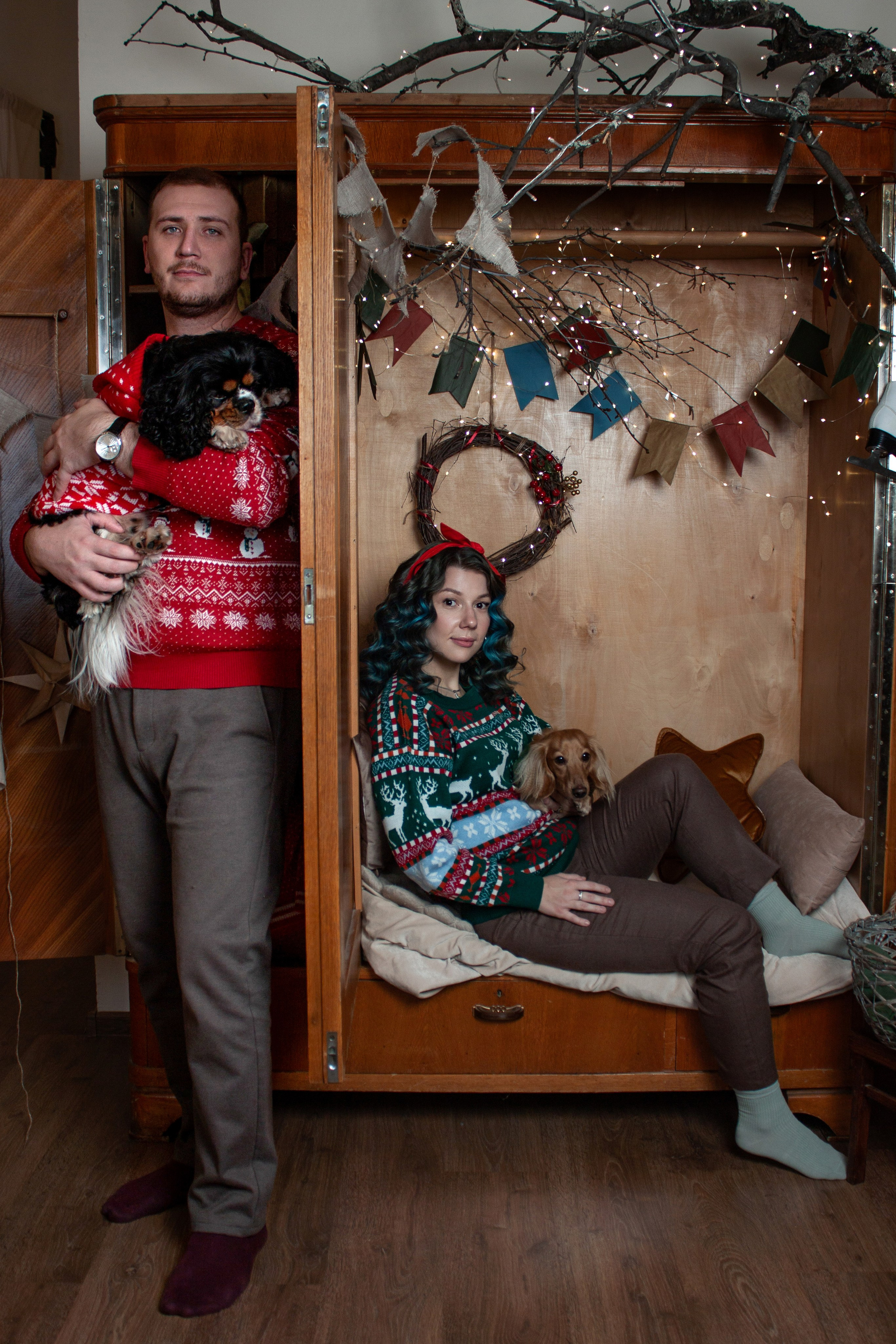 Новогодние собаки. Фотограф в Санкт-Петербурге Рейдер Дарья