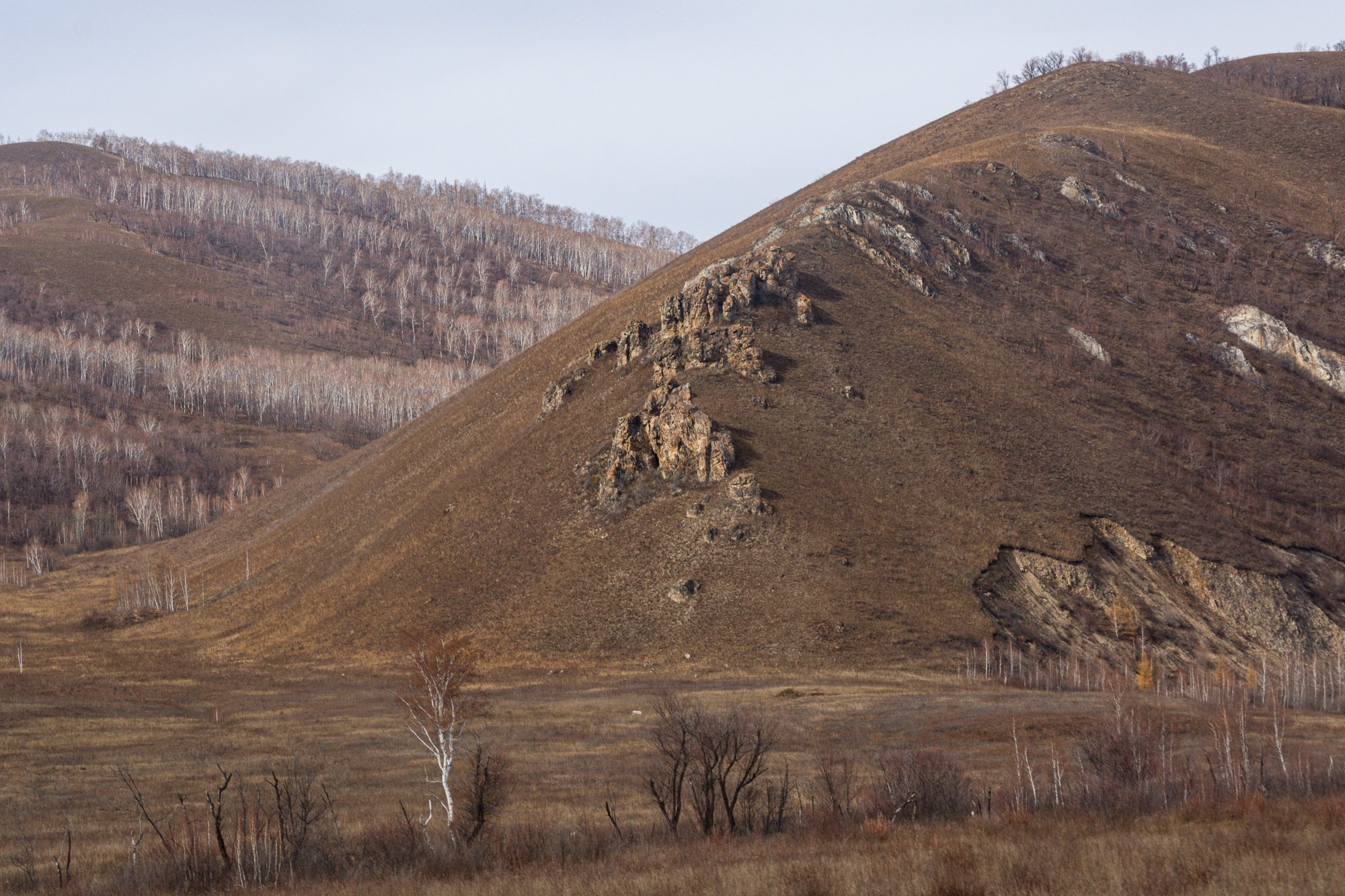 Разное. Репортажный фотограф г. Чита
