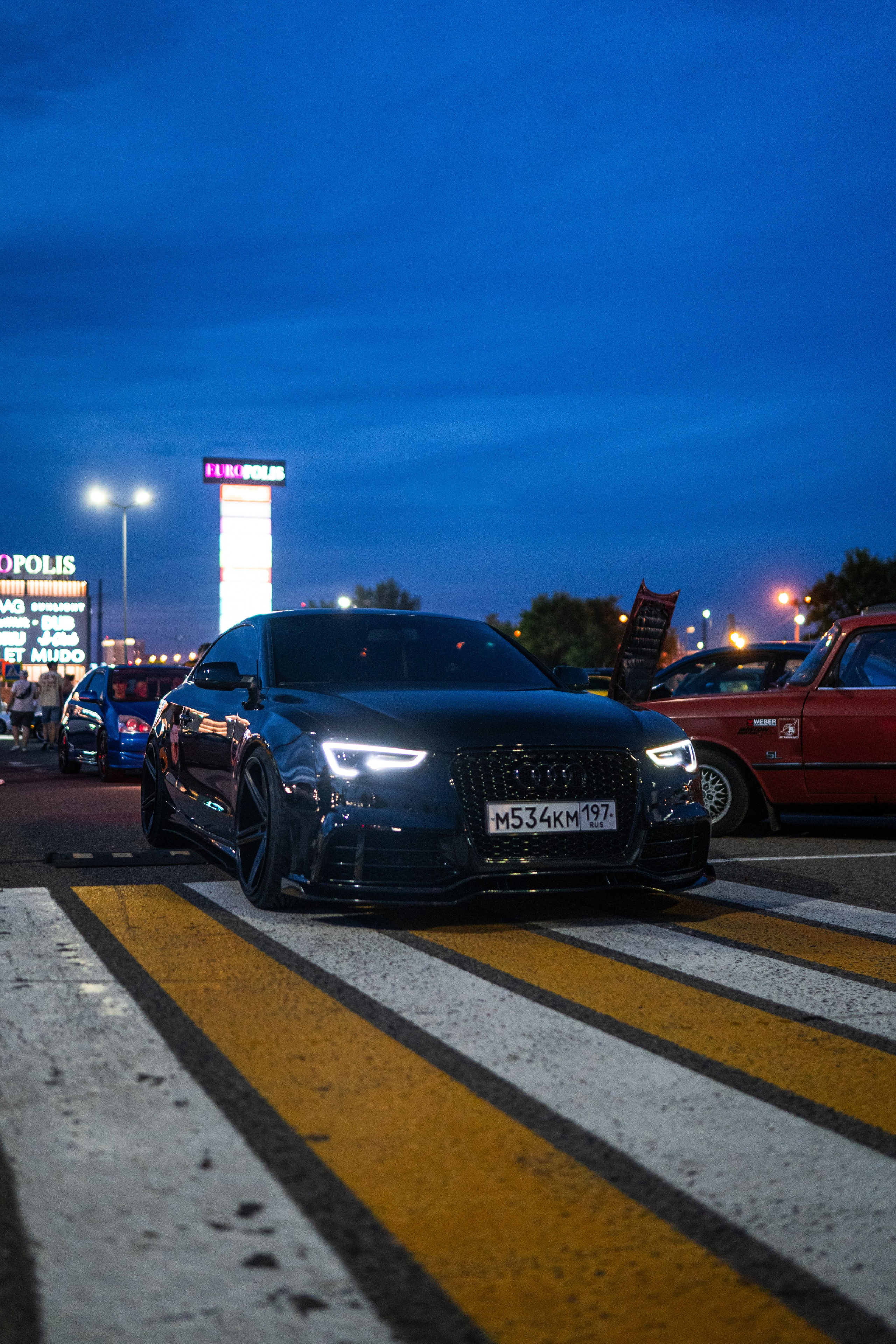 DOWNFLY | 13.07.2024. Mirllaev