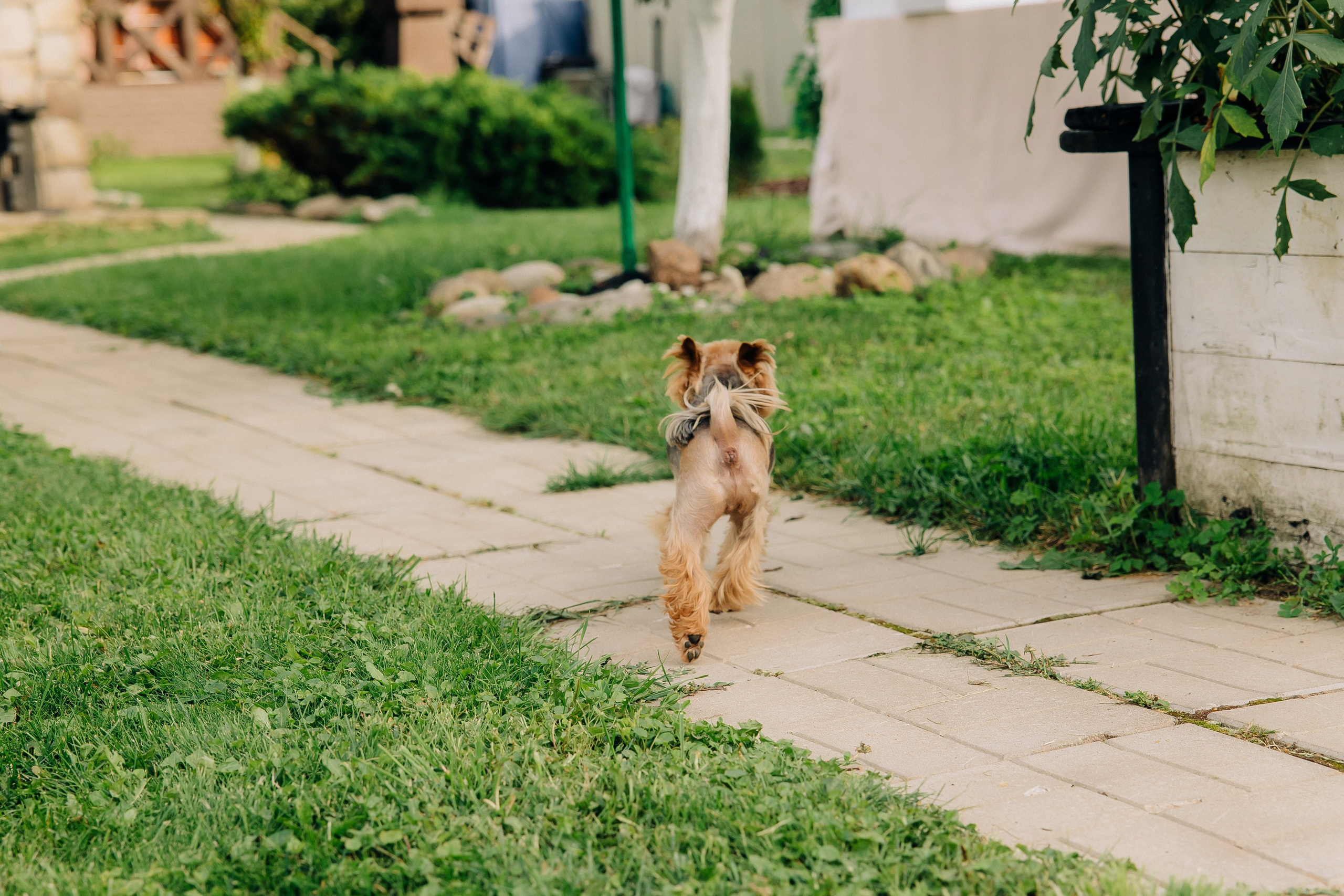 L & K. Свадебный и семейный фотограф в Воронеже Свиридова Евгения