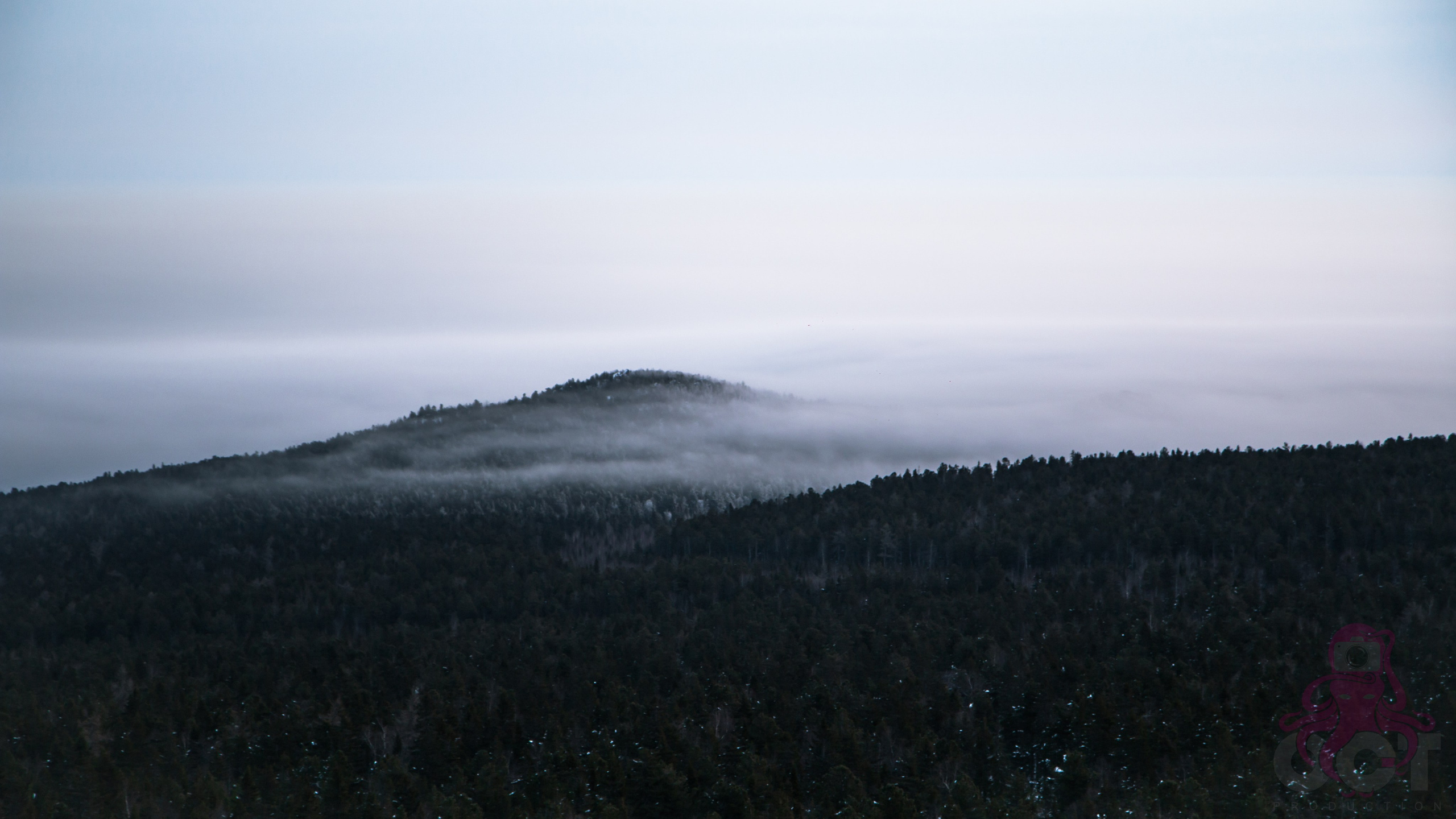 Буддистский монастырь Шад Тчуп Линг. Предметный и репортажный фотограф Алексей Кротов