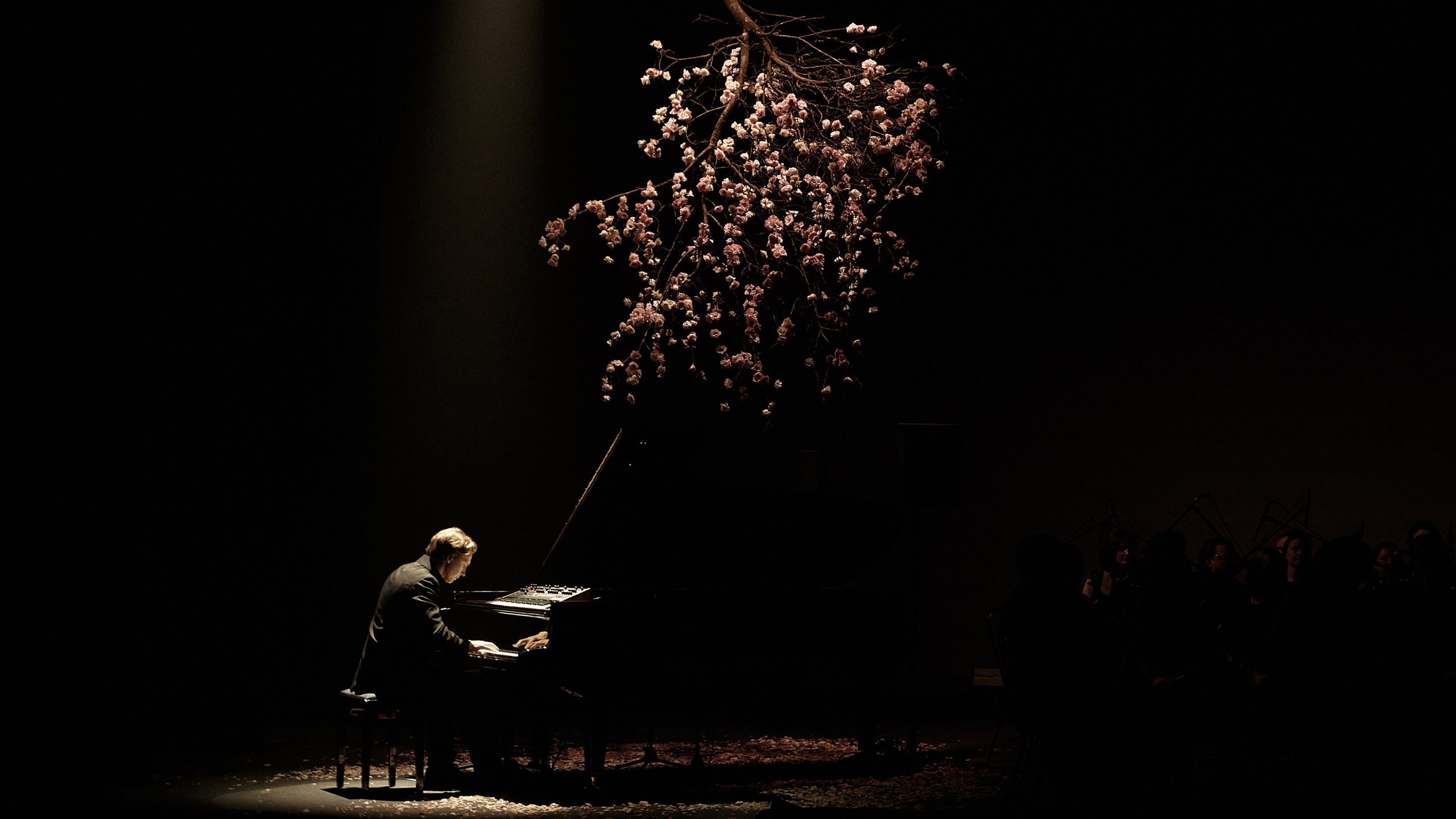 Никола Мельников / 2024. OOPS