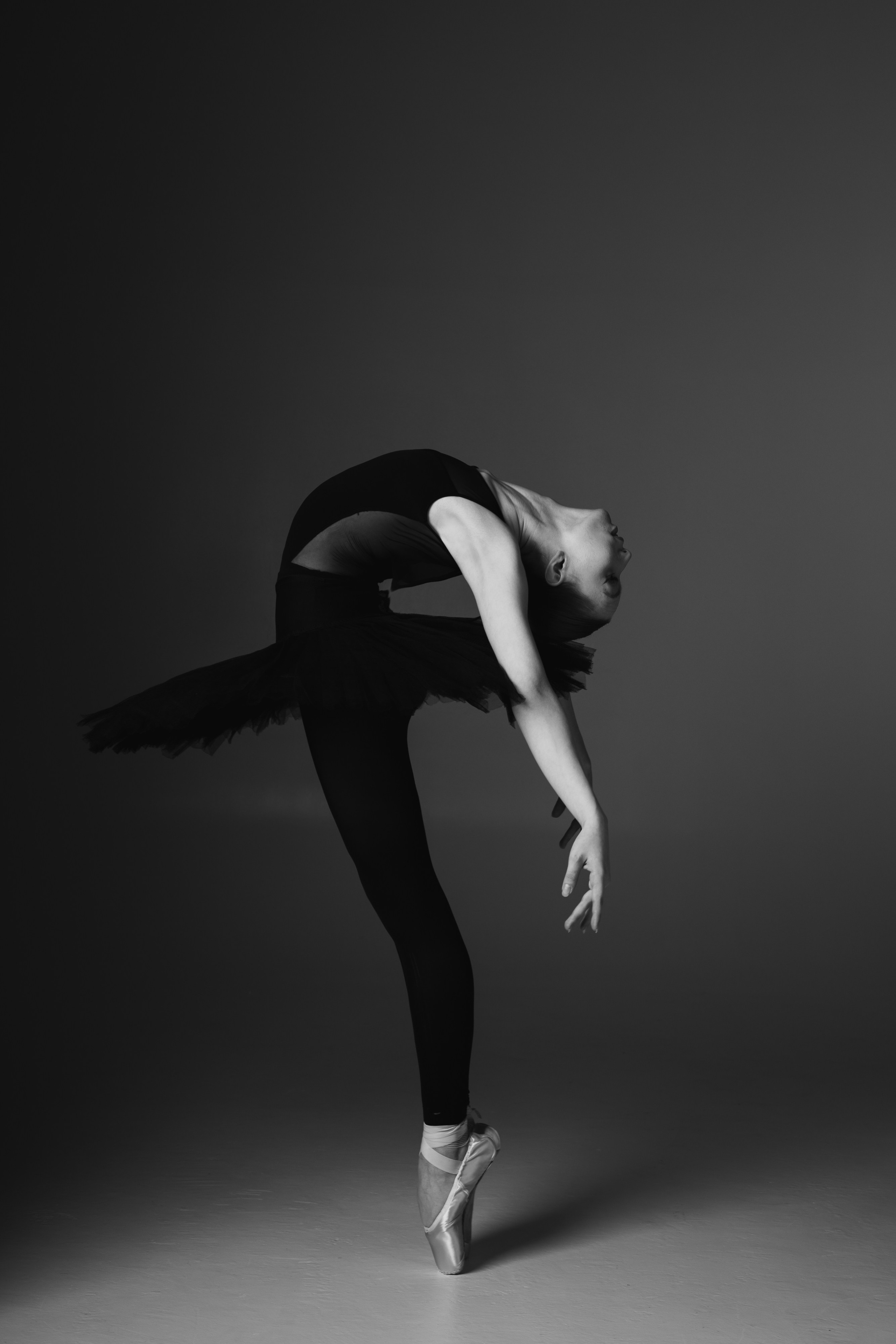 София. Свадебный и семейный фотограф в Новосибирске Дарья Кель