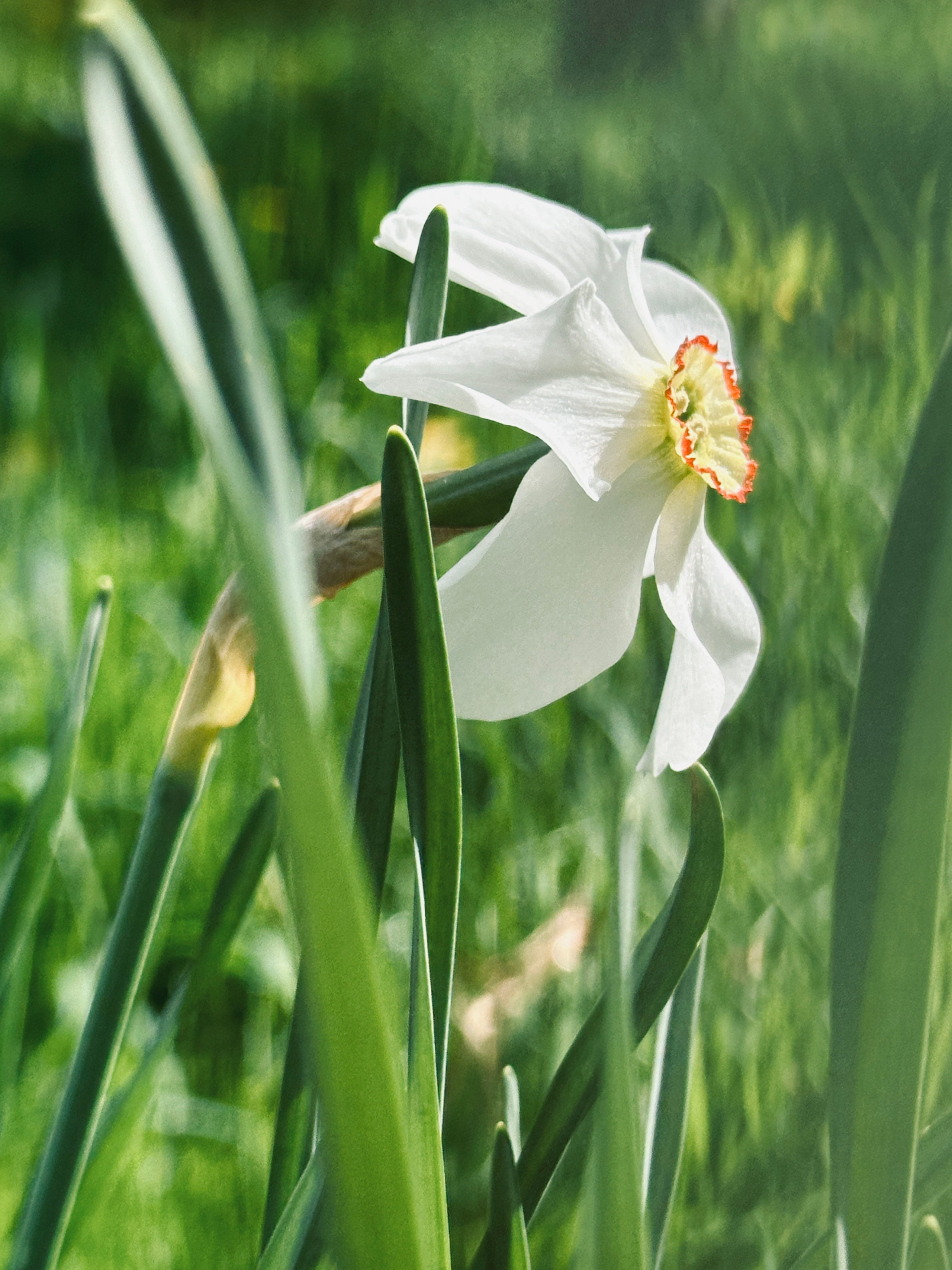 Макро любовь. Смотри, красота!