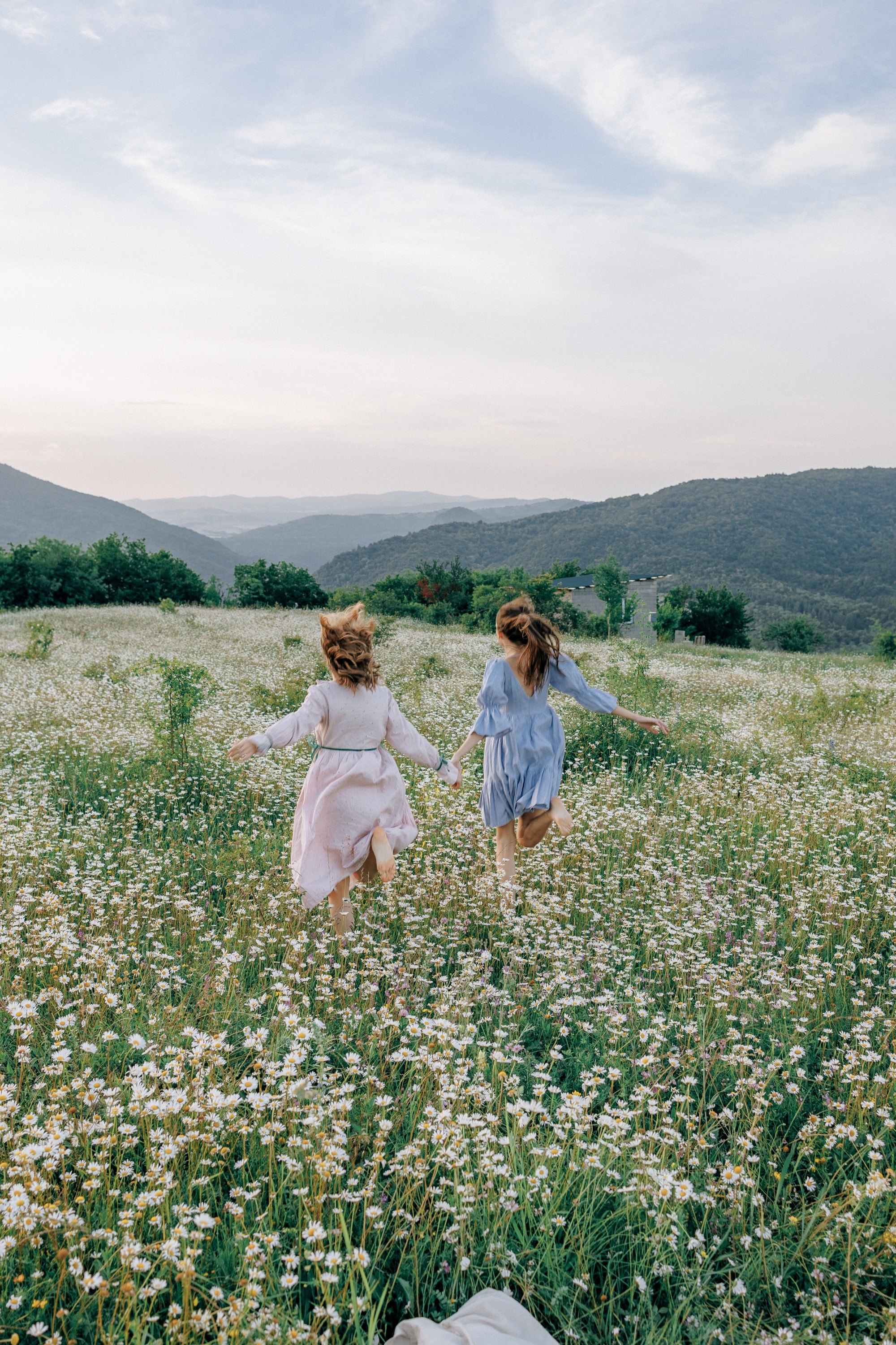 Picnic in the chamomile field in Georgia. Fedor Lemeshko — Destination Wedding and Family Lifestyle photographer