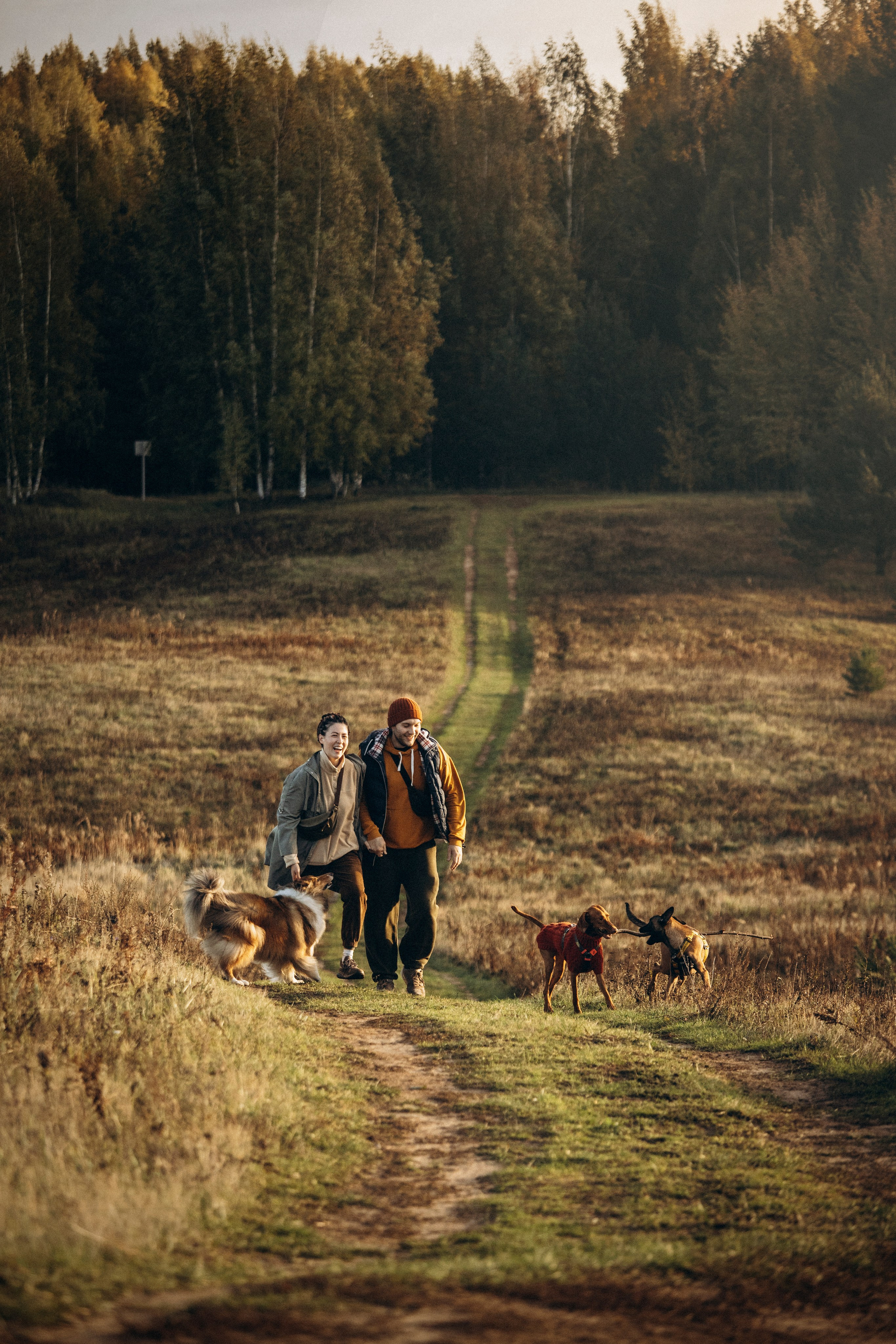 Трисс, Эста, Яся и их семья. Фотограф — Анималист | Санкт-Петербург