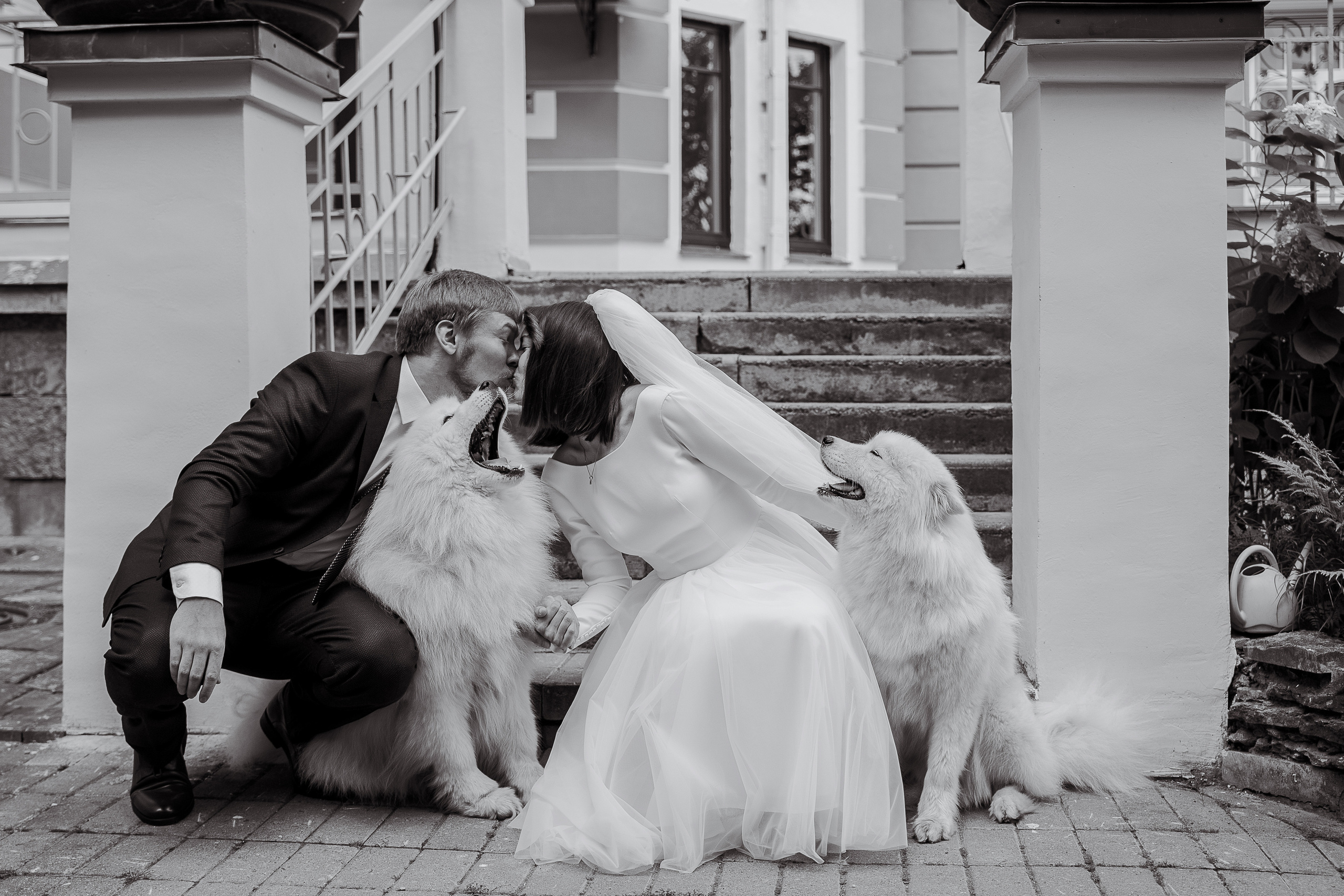 Игорь и Ярослава. Свадебный и семейный фотограф в Пушкине и Санкт-Петербурге Мария Филиппова
