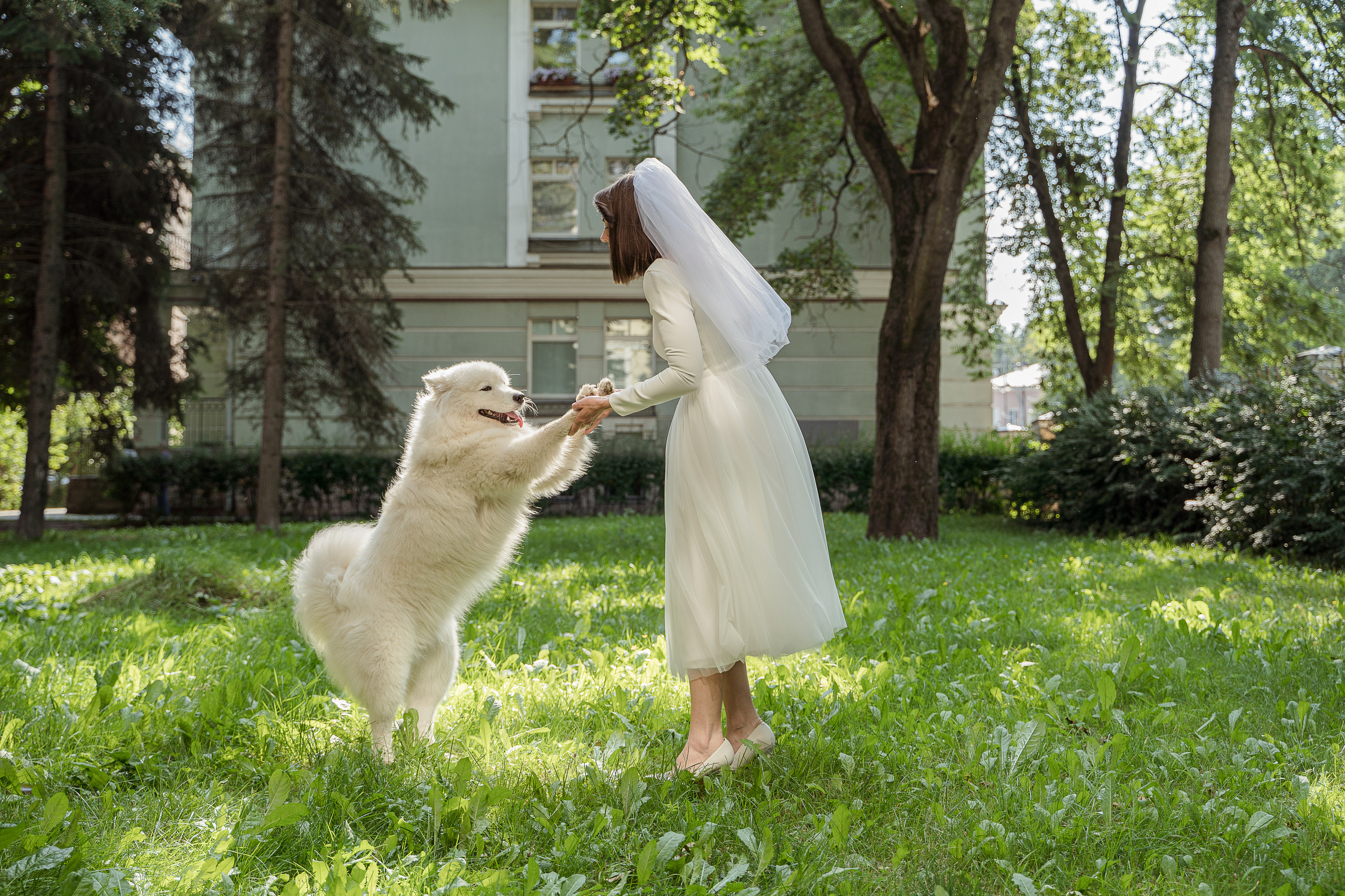 Игорь и Ярослава. Свадебный и семейный фотограф в Пушкине и Санкт-Петербурге Мария Филиппова