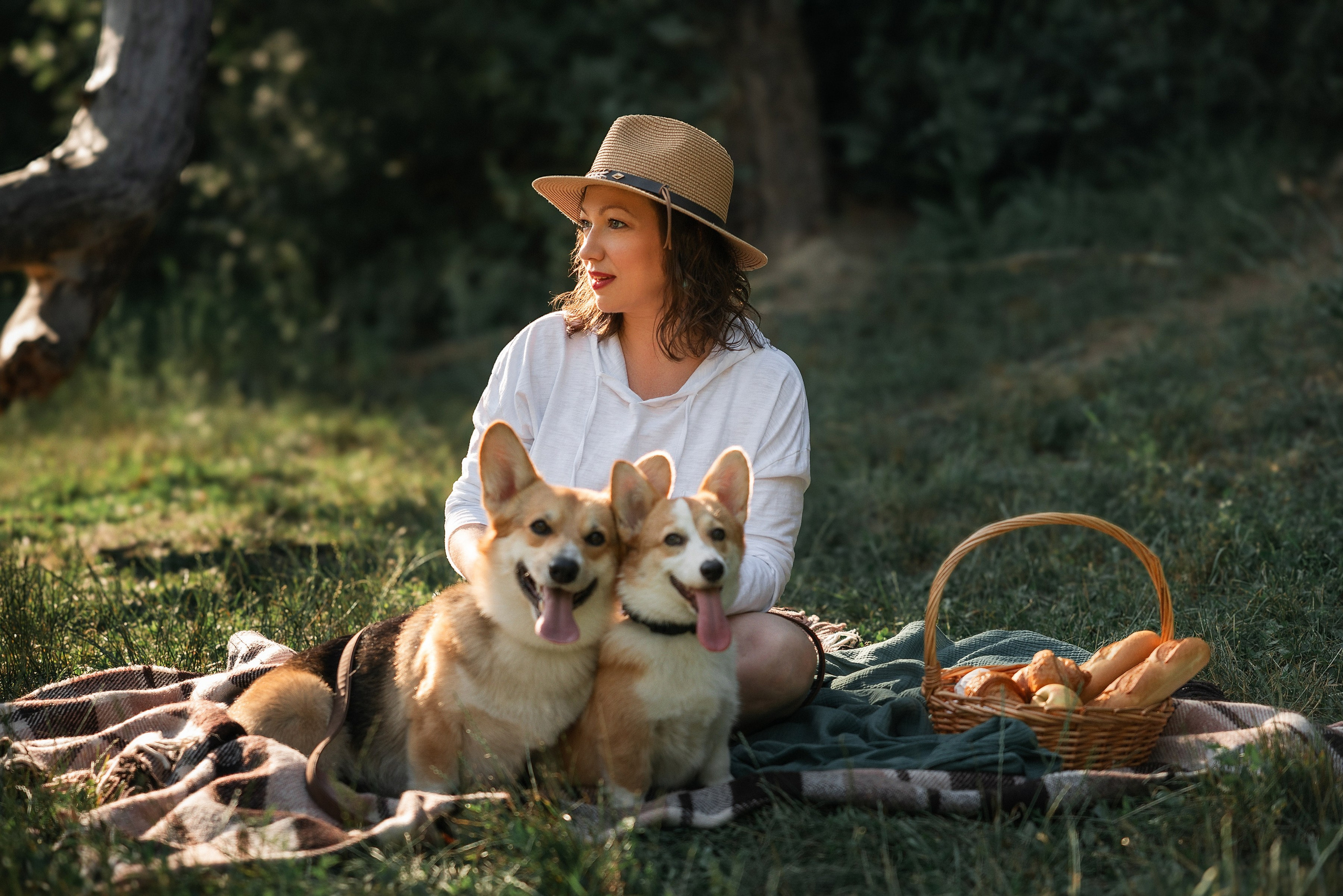 Корги. Семейный и детский фотограф в Краснодаре Ксения Новикова