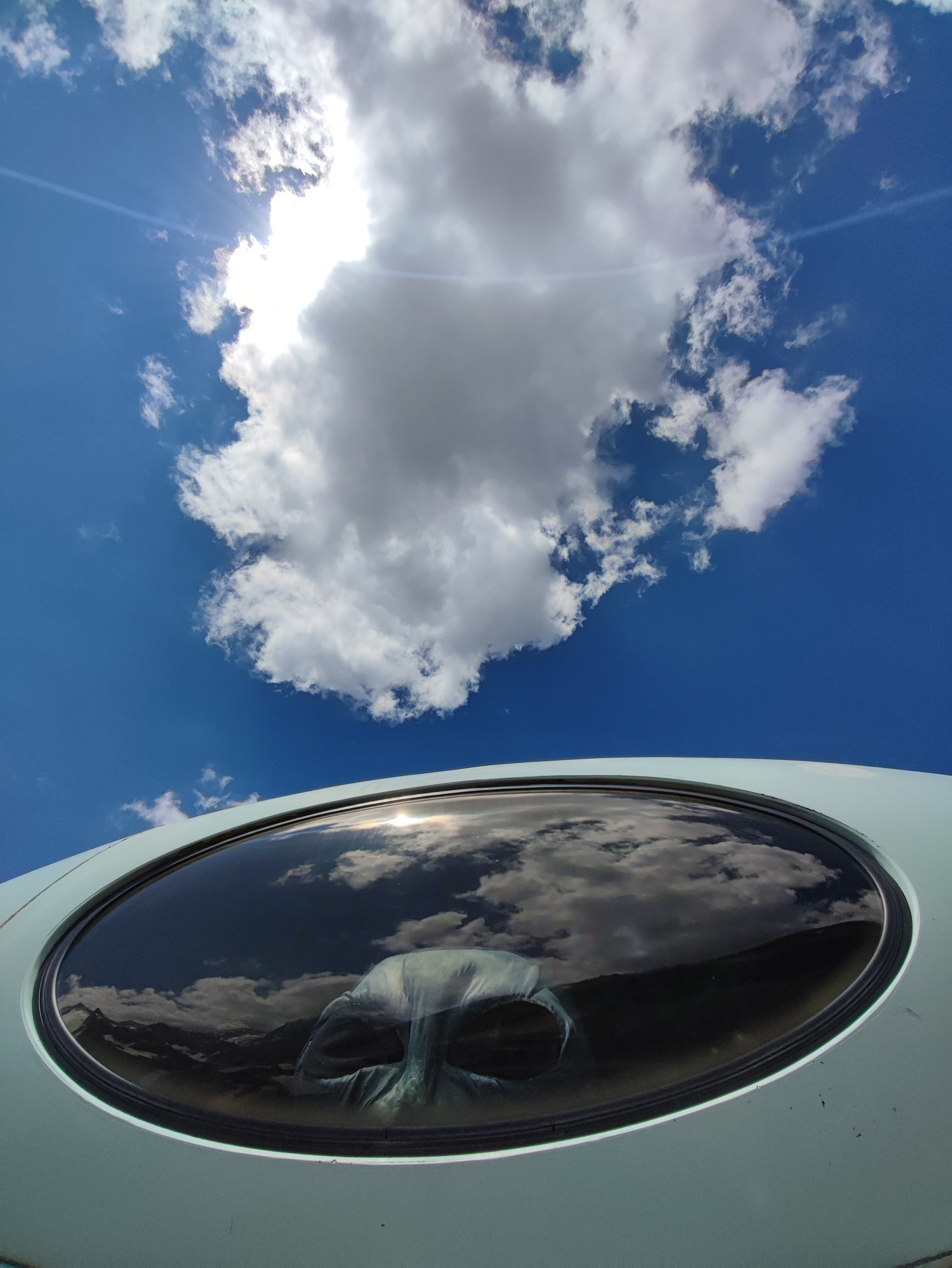 Намобилкус кавказский. Репортажный фотограф Алексей Пирязев