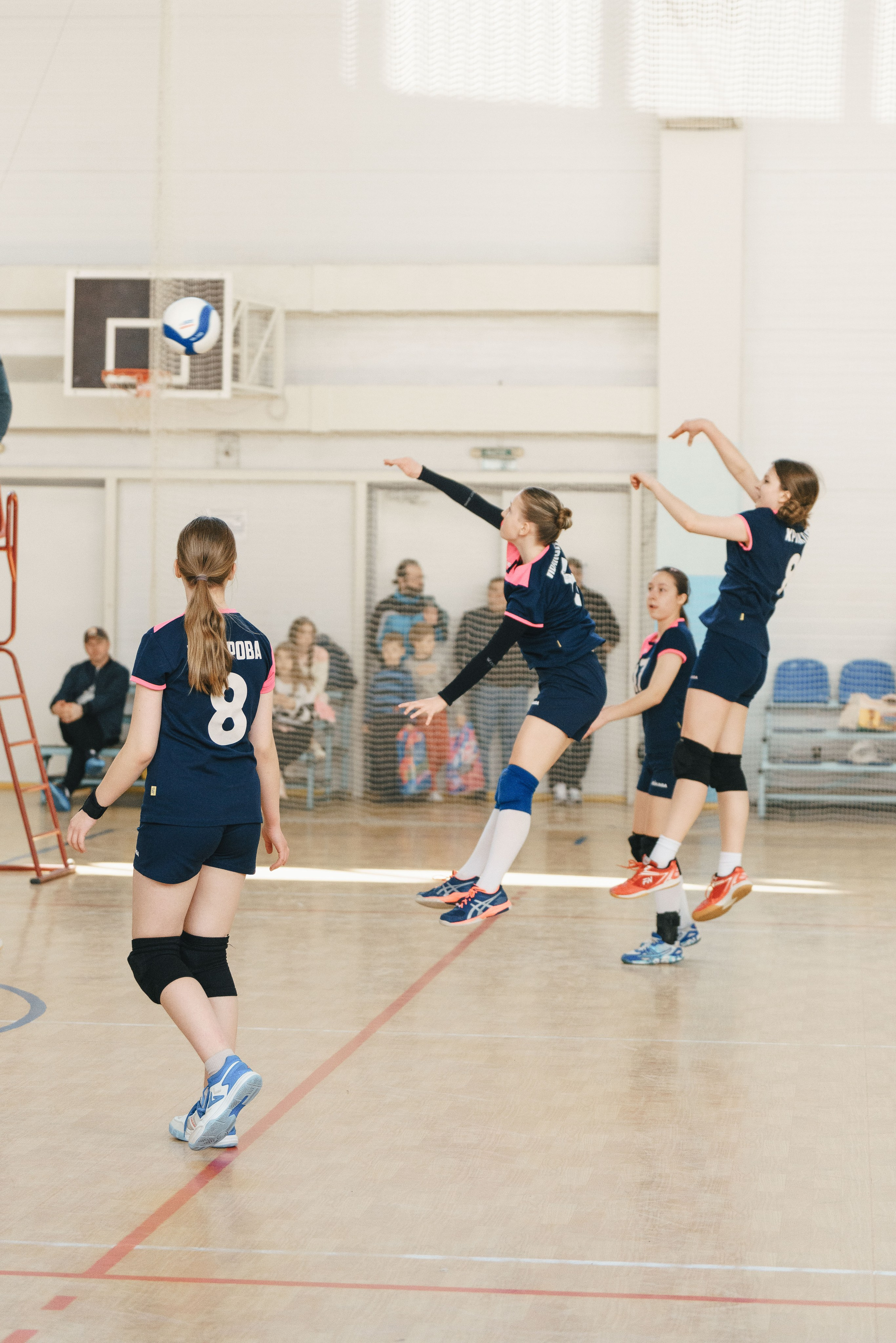 Волейбол торус. Фотограф-анималист в Санкт-Петербурге