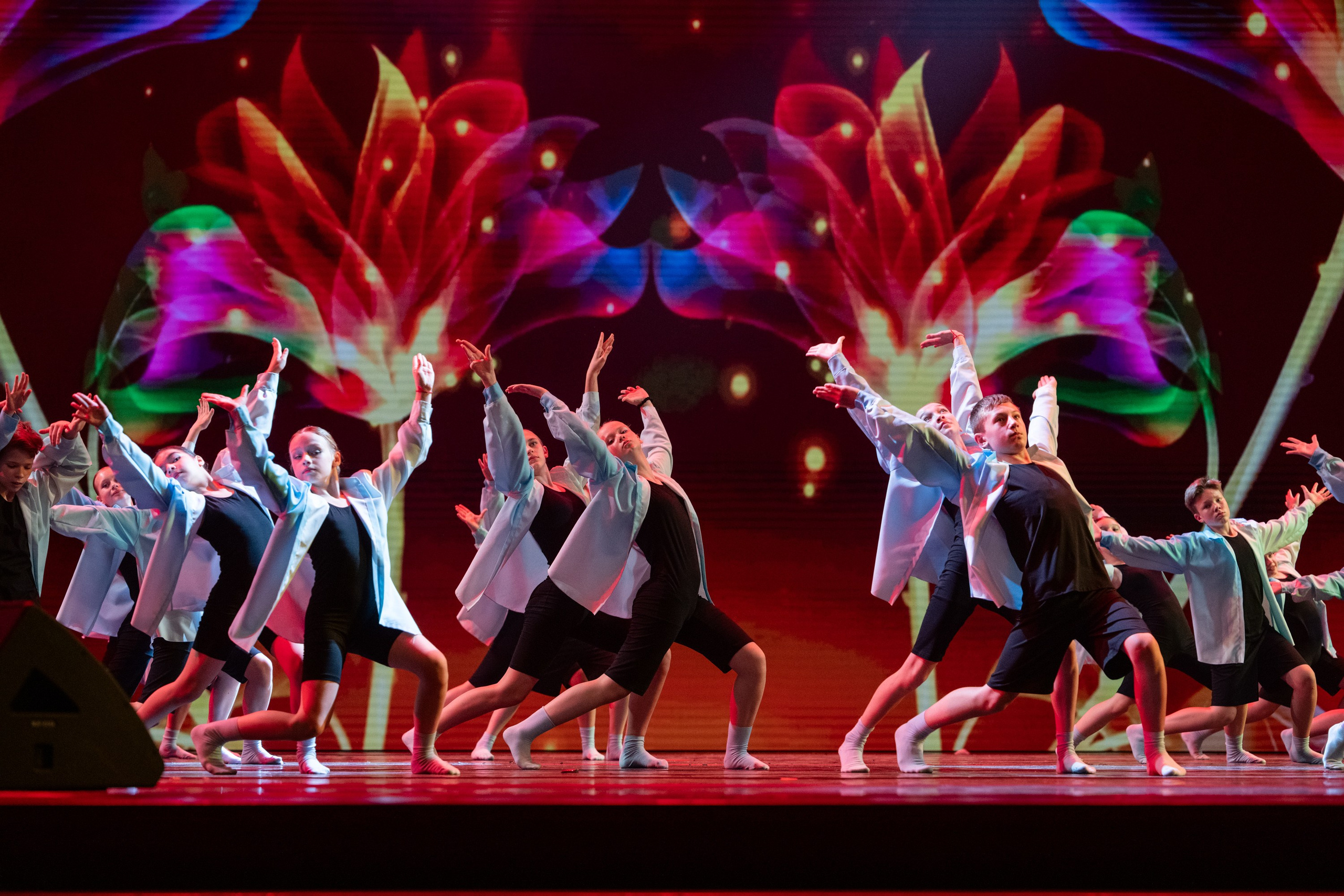 18 мая, г. Москва, Кремль, Концерт. Золотое яблочко