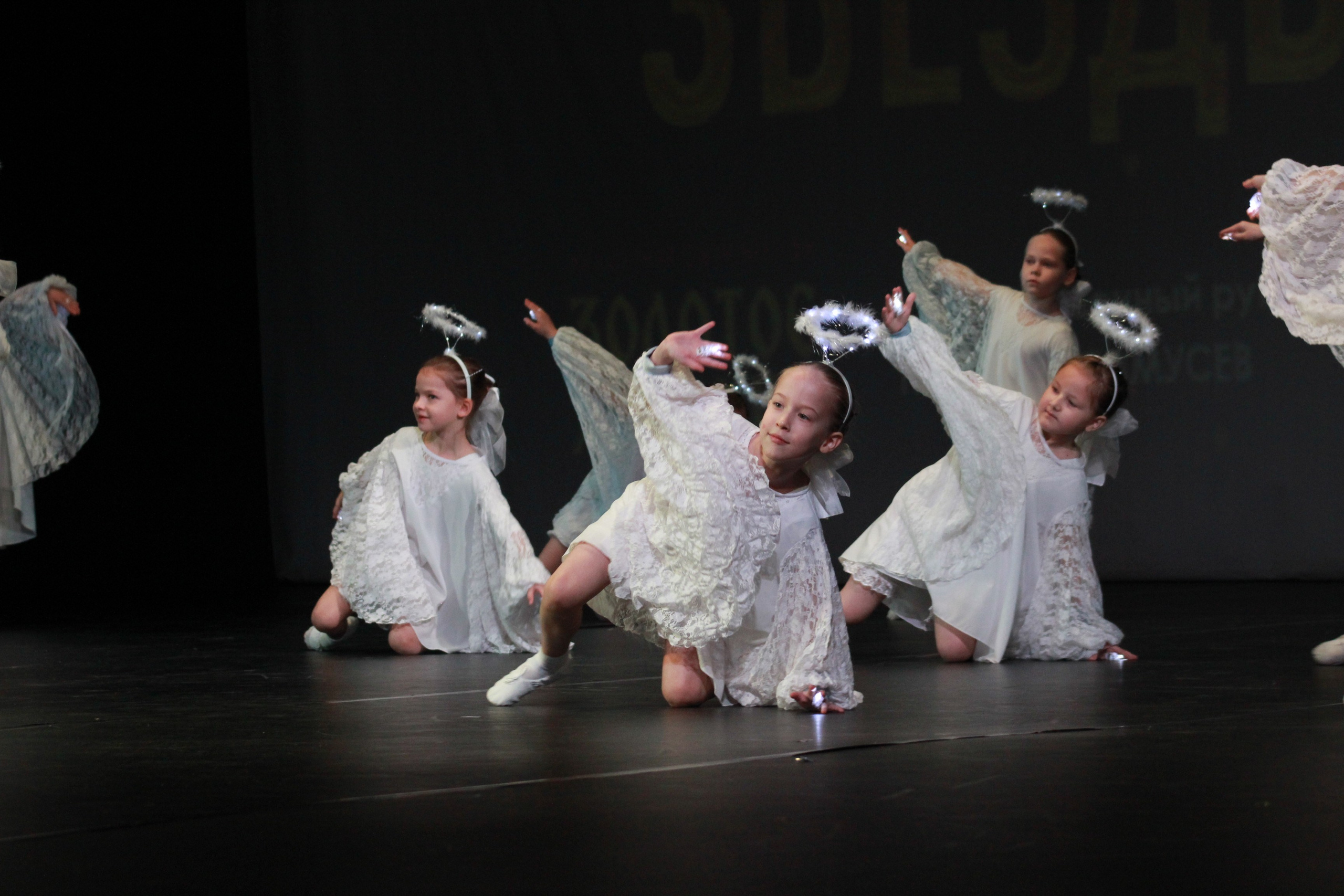 15 декабря, г. Архангельск. Золотое яблочко