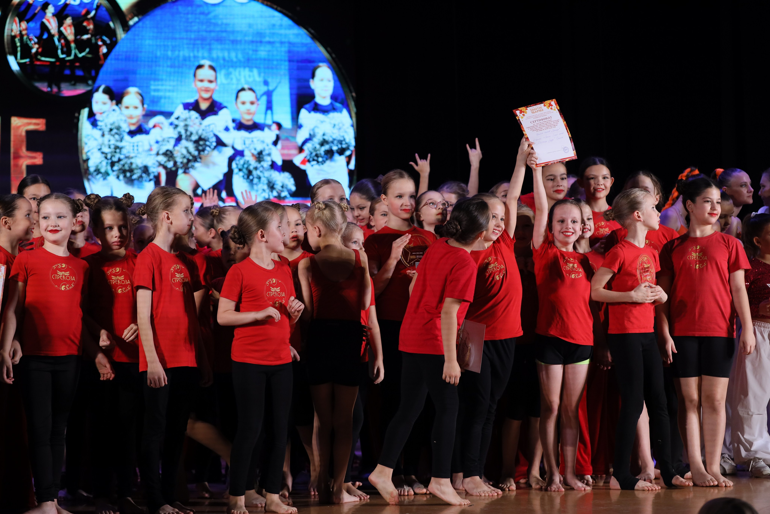 4 ноября, блок 1, награда, г. Краснодар. Золотое яблочко