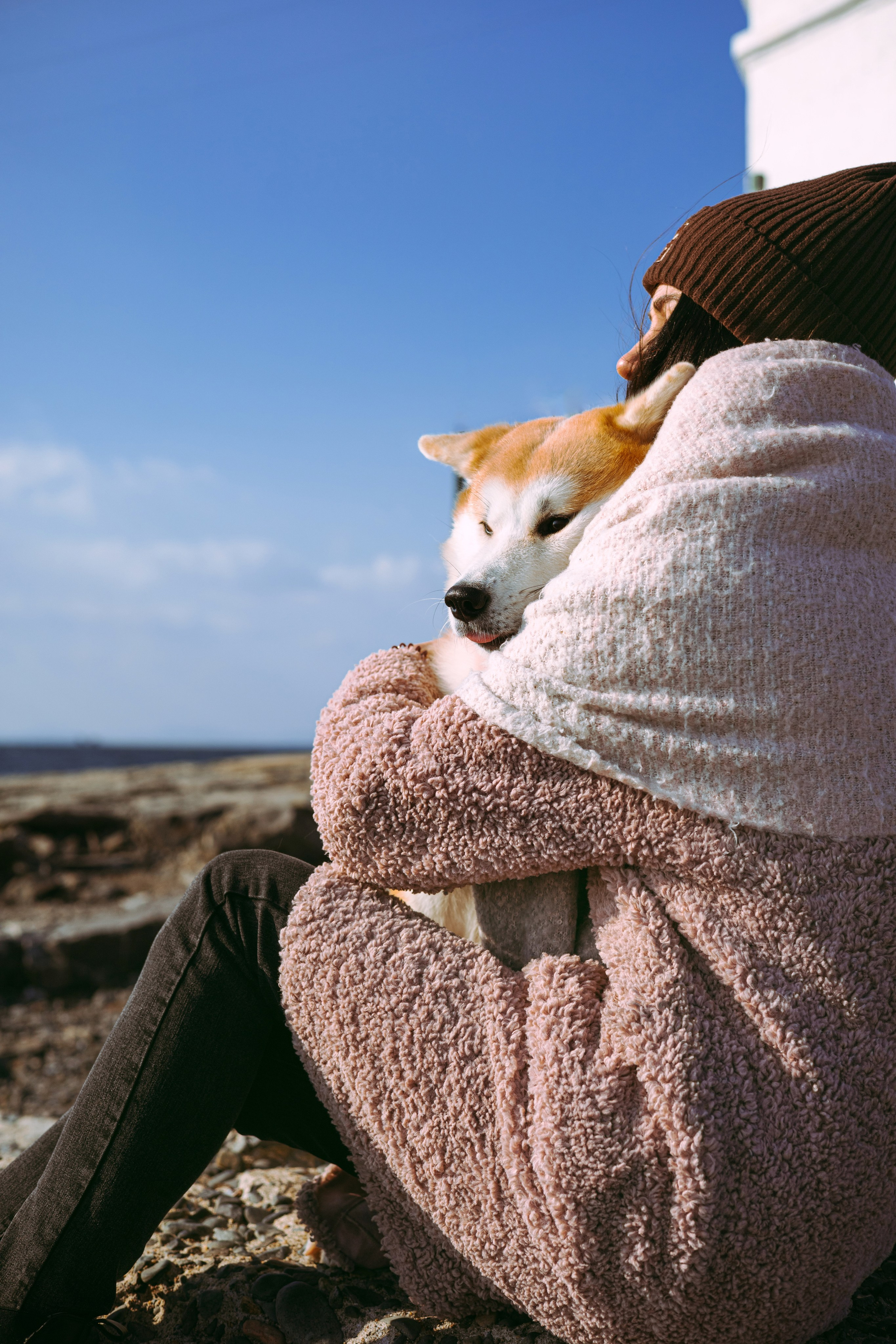 Мария и Бейла. Фотограф — анималист Владивосток, Алина