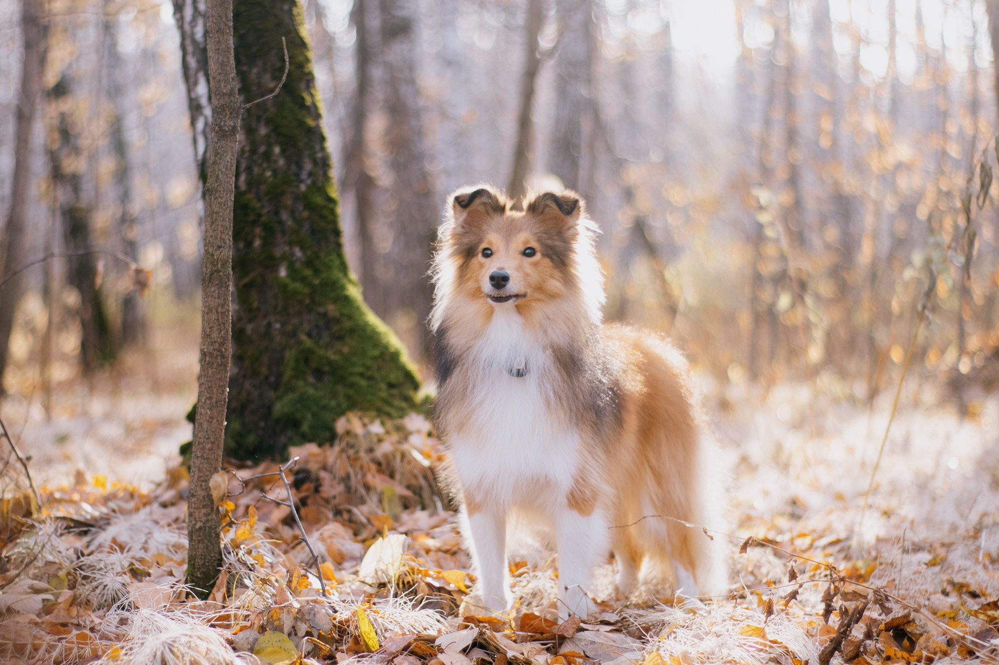 Анна и Габи. Фотограф в Тюмени Лизавета Сапицкая