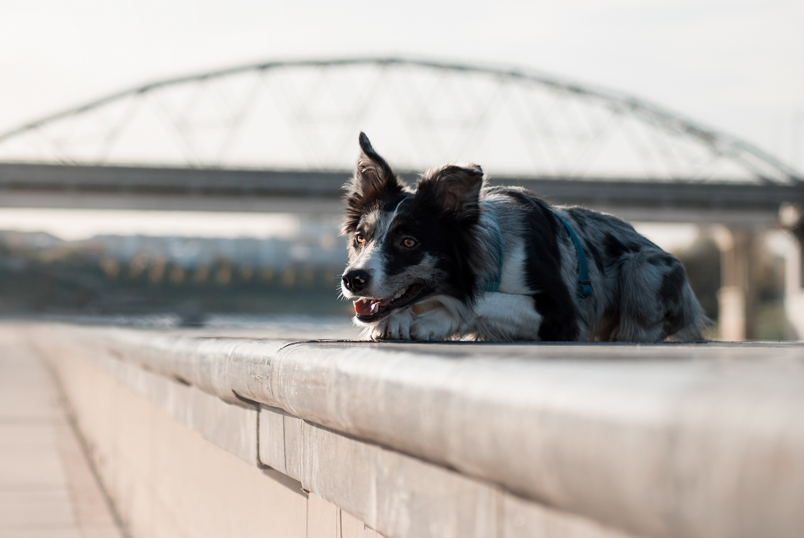 Тэйс. Фотограф в Тюмени Лизавета Сапицкая