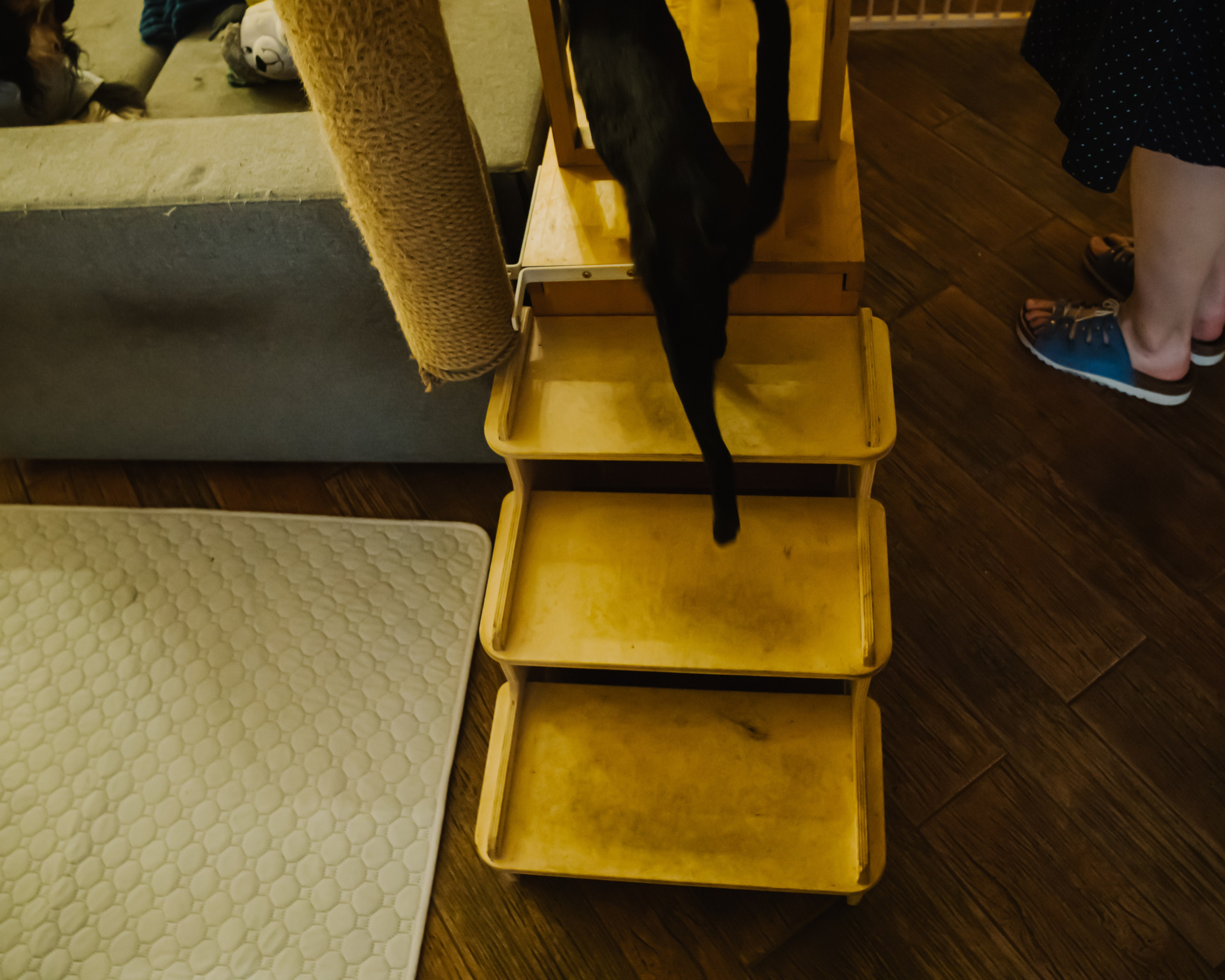 Гилдин. Портретный фотограф Ванинен Анастасия. Санкт-Петербург