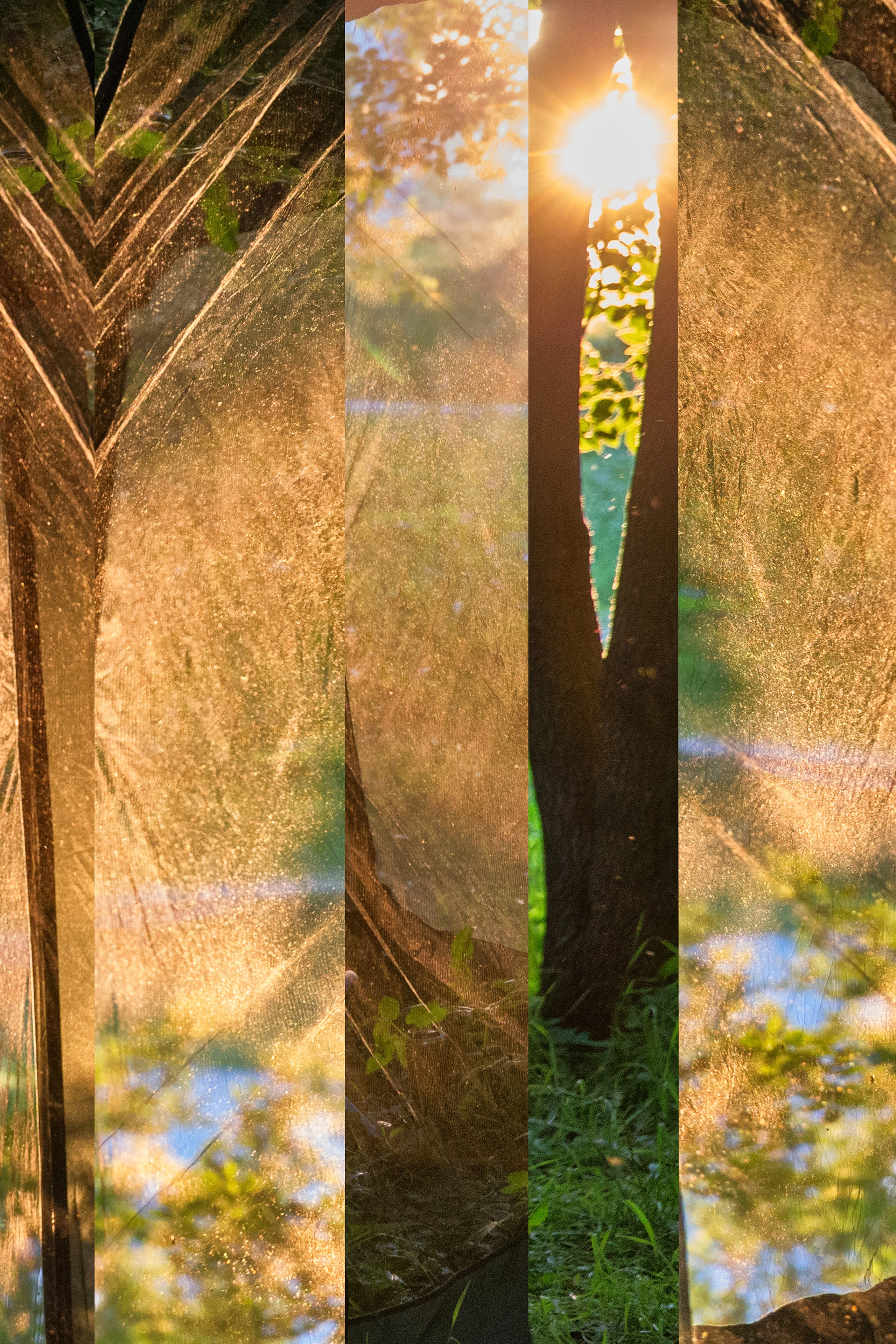 Tienda. Fotógrafa impresionista Rada Buenos Aires