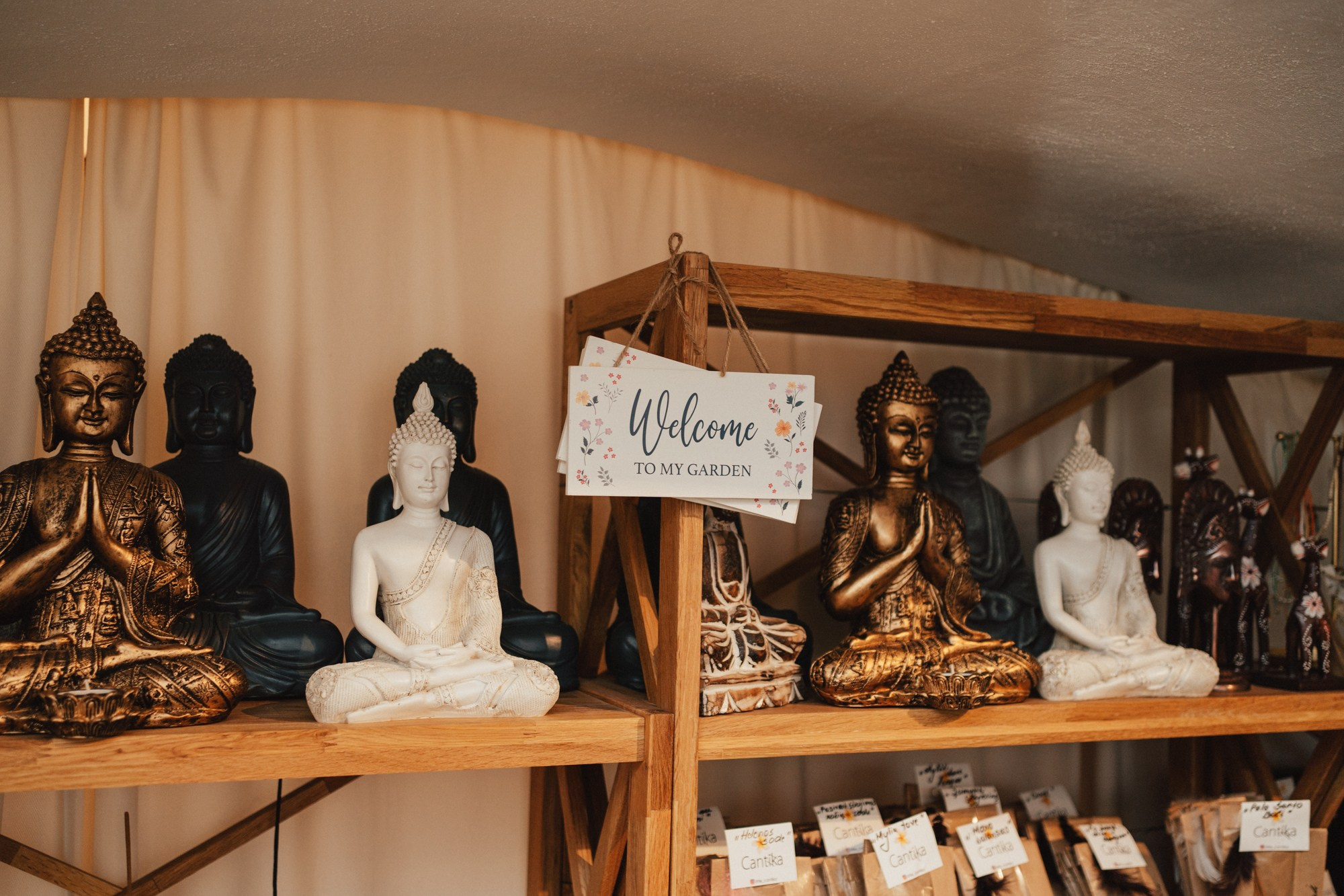 Cantika. Store Birthday. Photographer in Vilnius