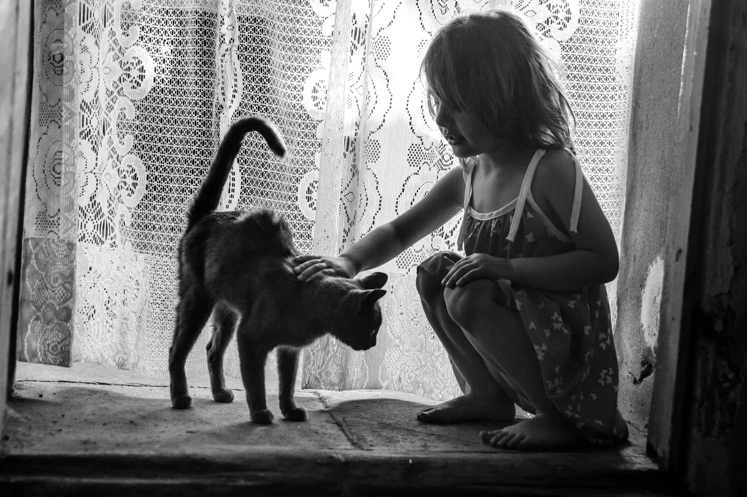 Серии «Кошка». Мультижанровый фотограф Дарья Strebog