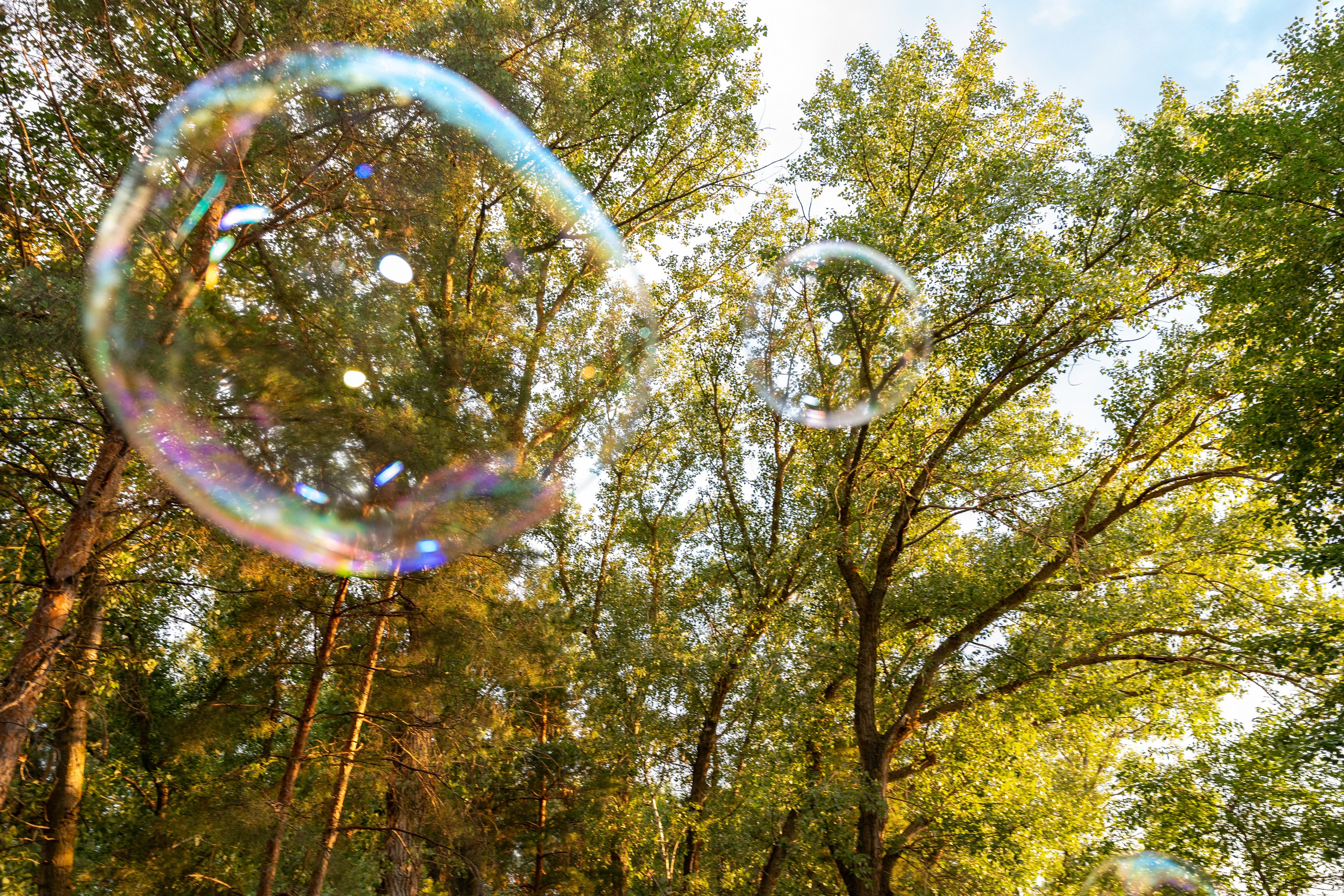 Прощай, школа, здравствуй, мир! Последний звонок и выпускной 9 А» класса. Фотограф |Ленинск, Волжский, Волгоград| Наталья Савилова
