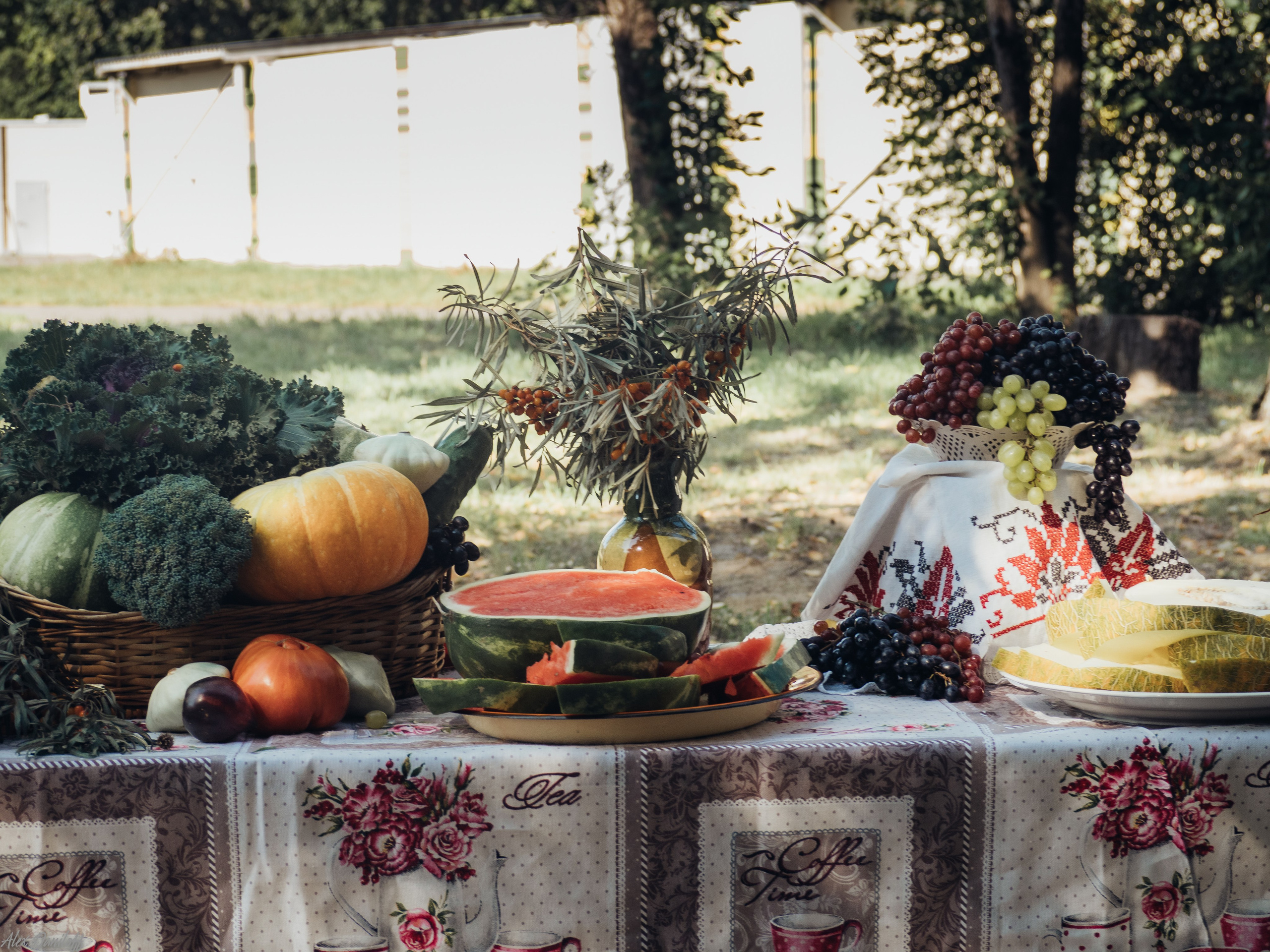 Секреты муромского долголетия. Муром-Инфо. Новости культуры, образования, спорта в городе Муром