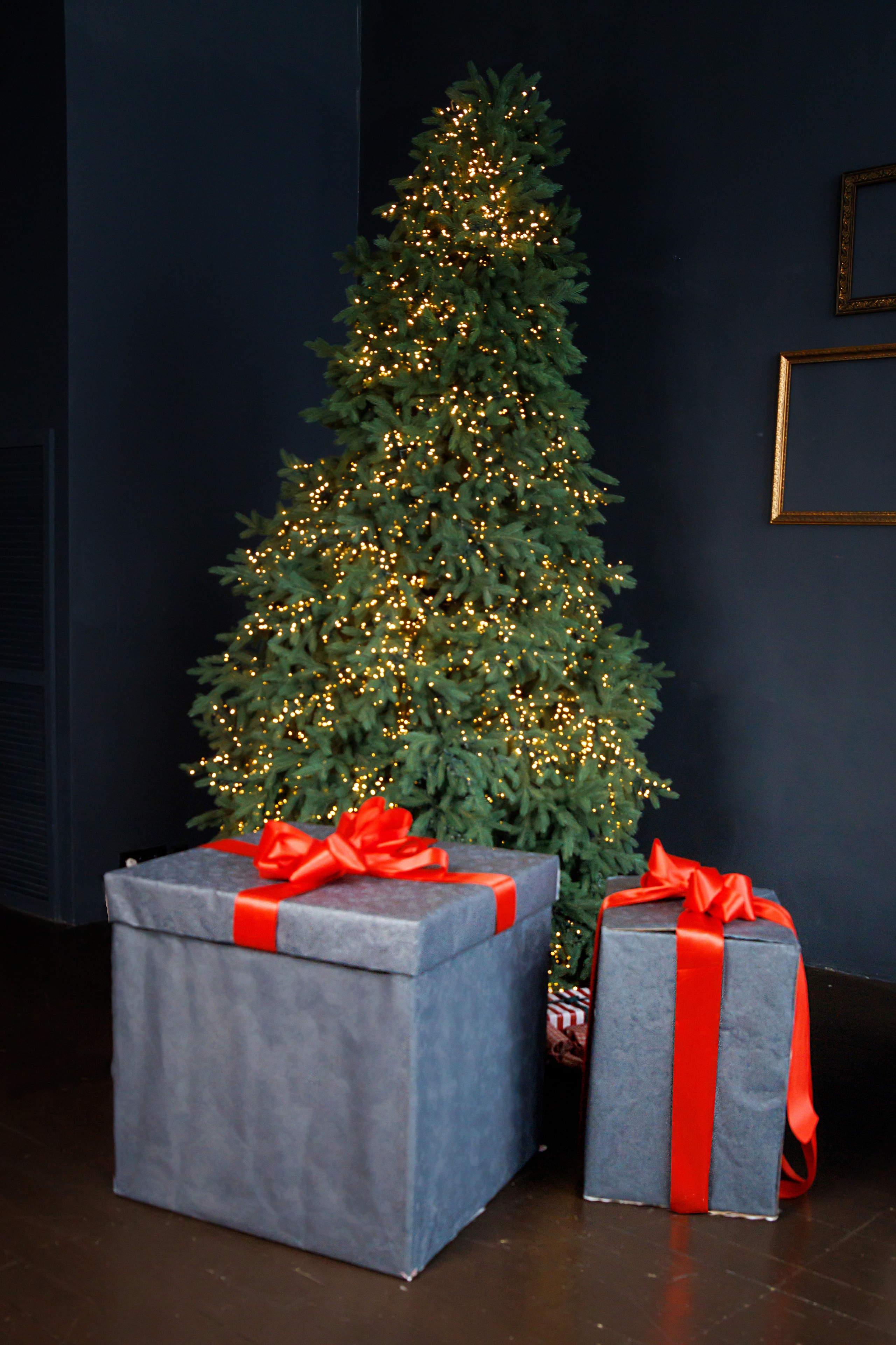 Новый год 2026. Детский и семейный фотограф в Бердске и Новосибирске Дарья Гребнева