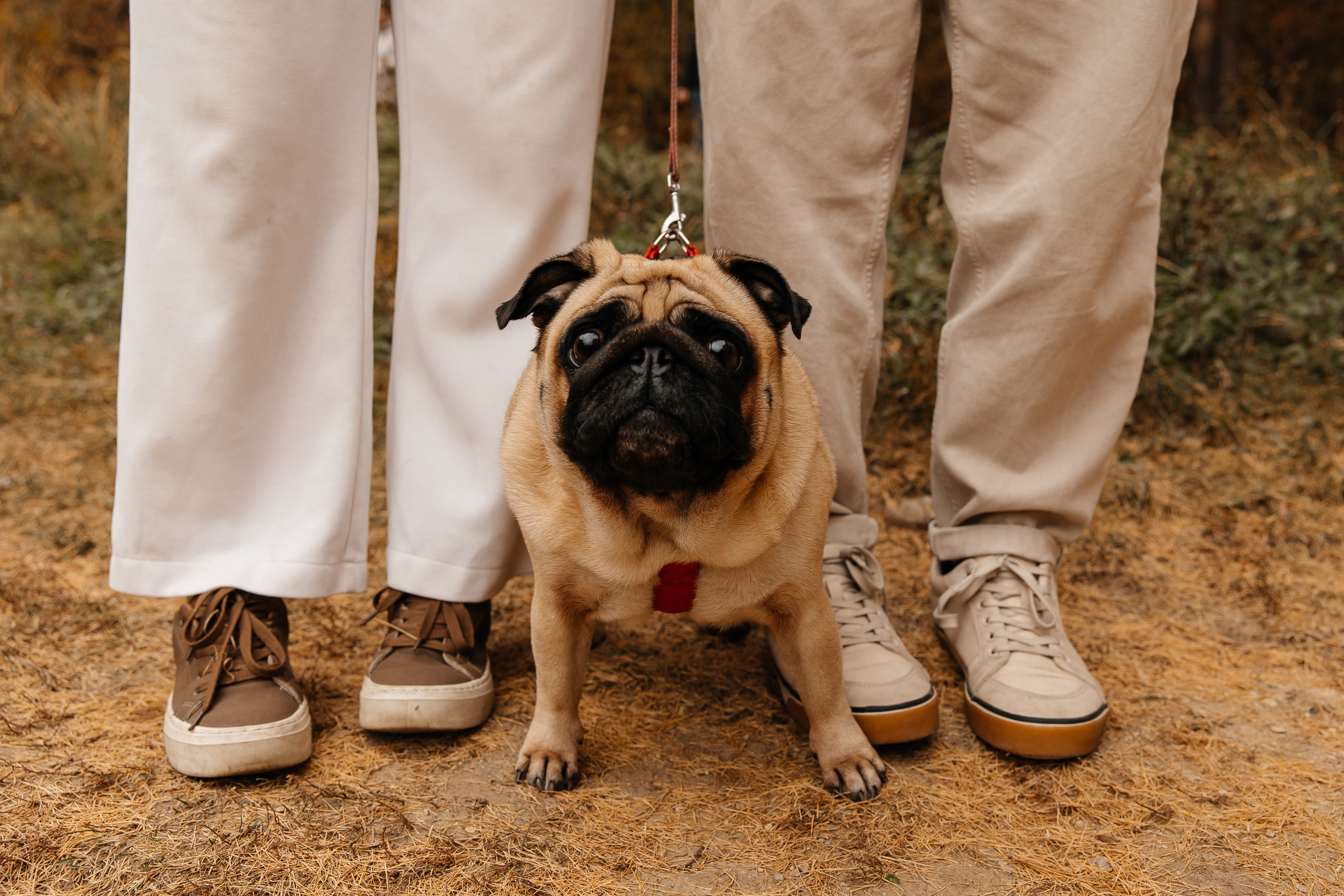 Илья и Анна. Фотограф Пенза Марина Арбузова |свадебный и семейный фотограф