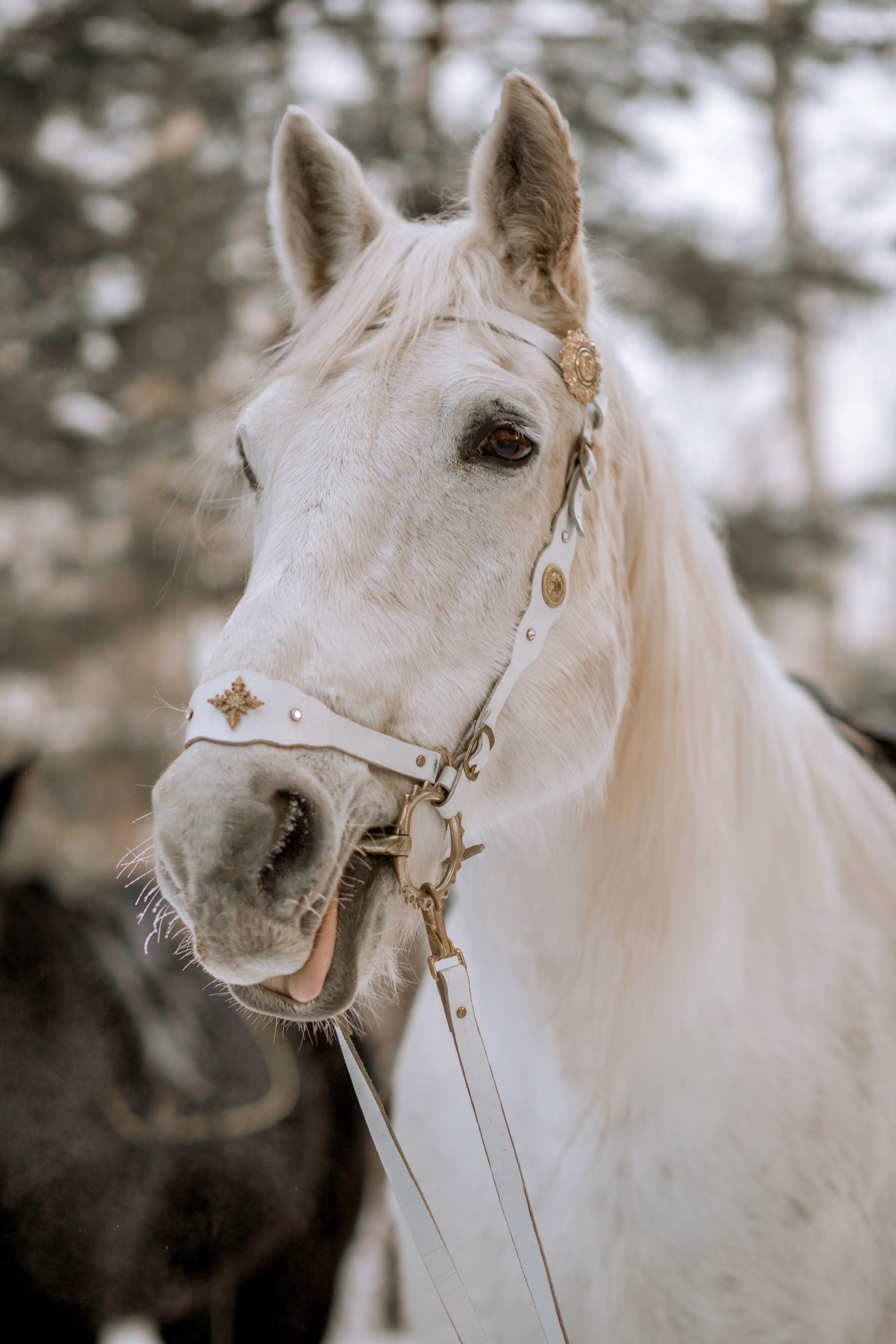 Свадьба3. Главная