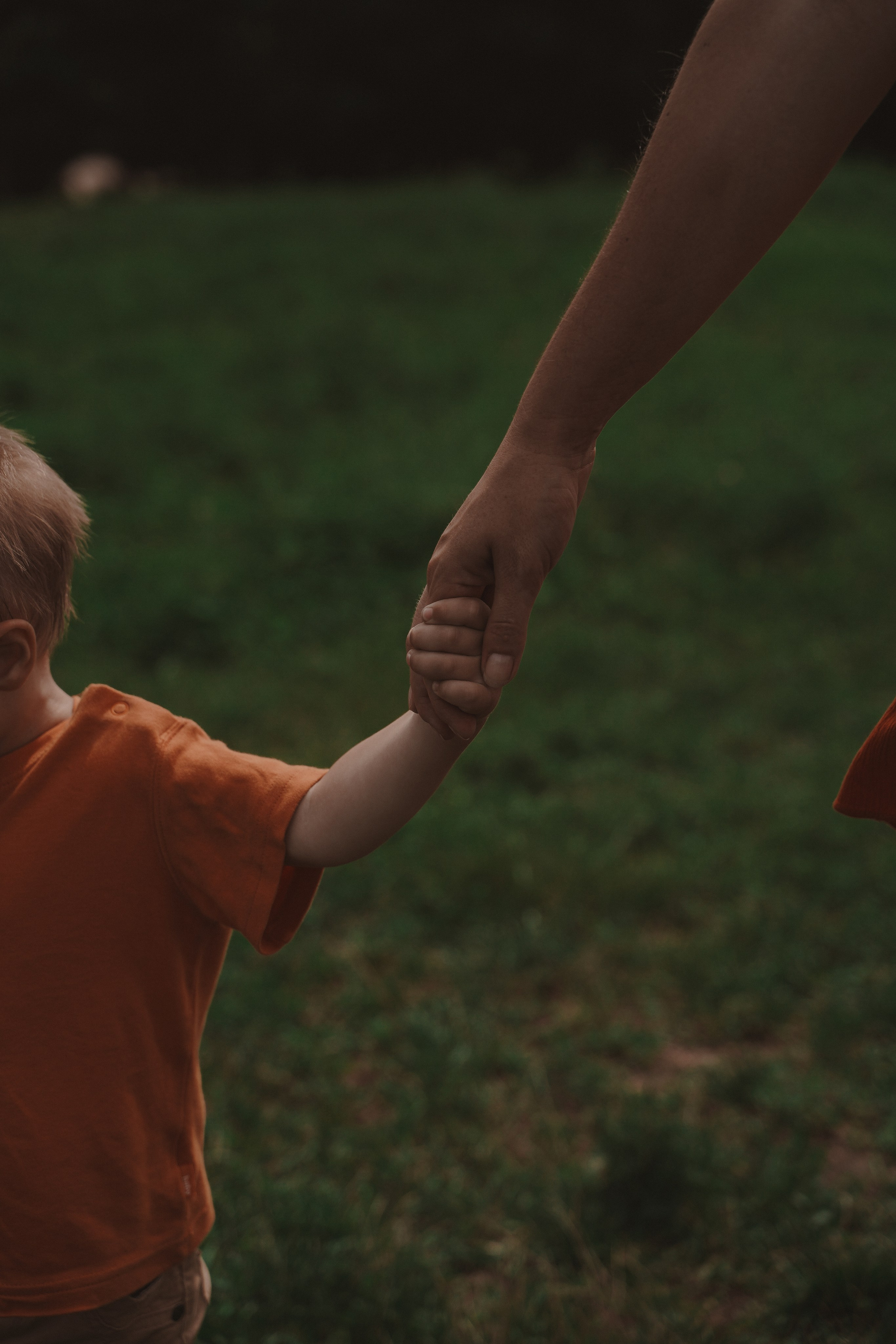 Семейная фотосессия в Немецкой деревне. Семейный и женский фотограф в Краснодаре Анастасия Приймак
