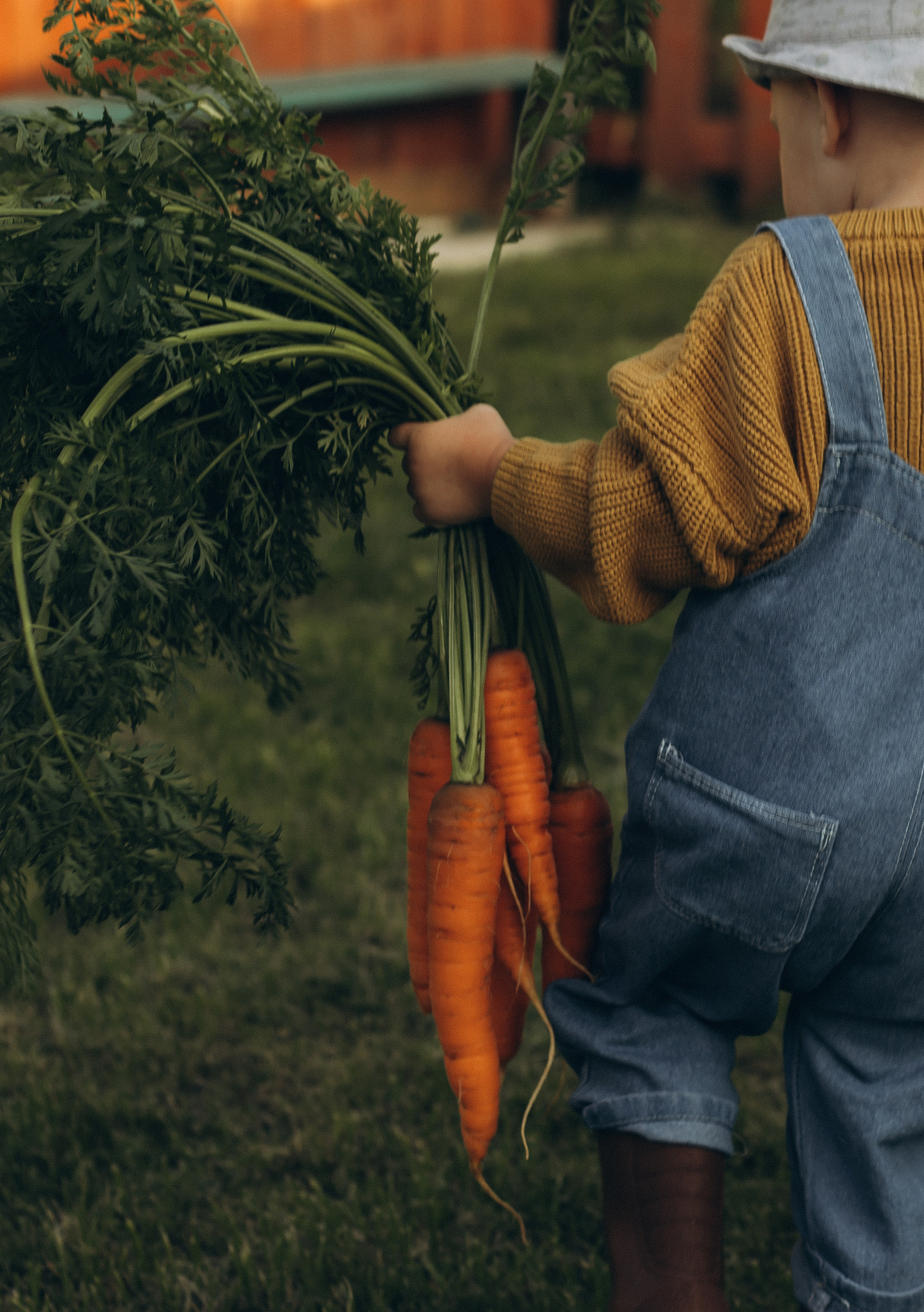 Морковная история 🥕🧡. Услуги