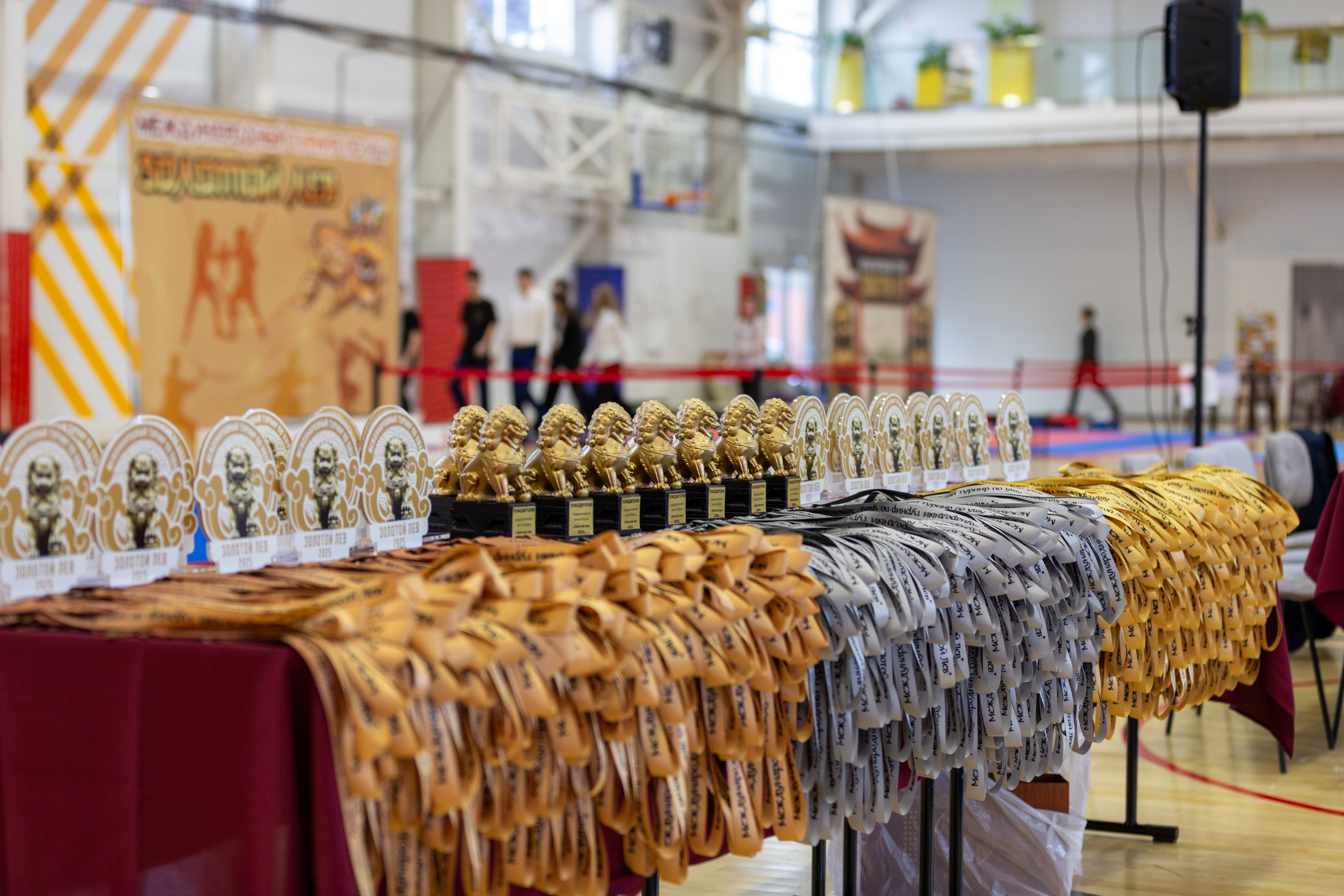 Репортаж соревнований по ушу. Фотограф Анастасия Мухитдинова