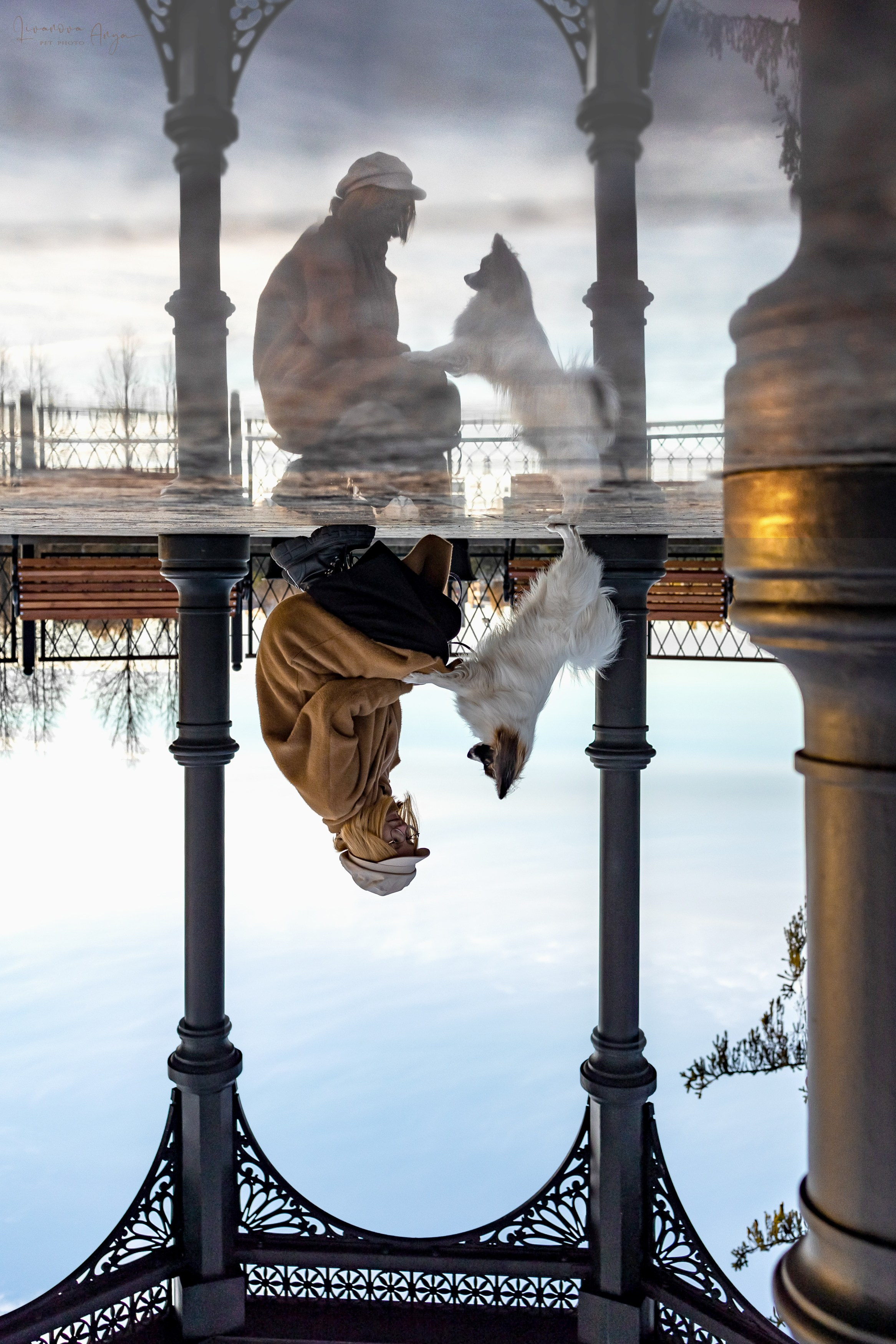 Хьюстон. Фотограф анималист Аня Ливанова | Рыбинск