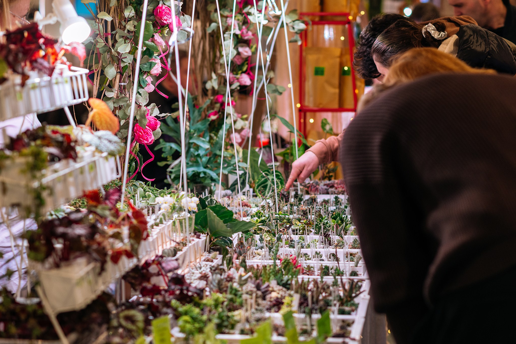 ВАУ Фест. Март 26. Репортажный фотограф в Санкт-Петербурге Анастасия Клёпова
