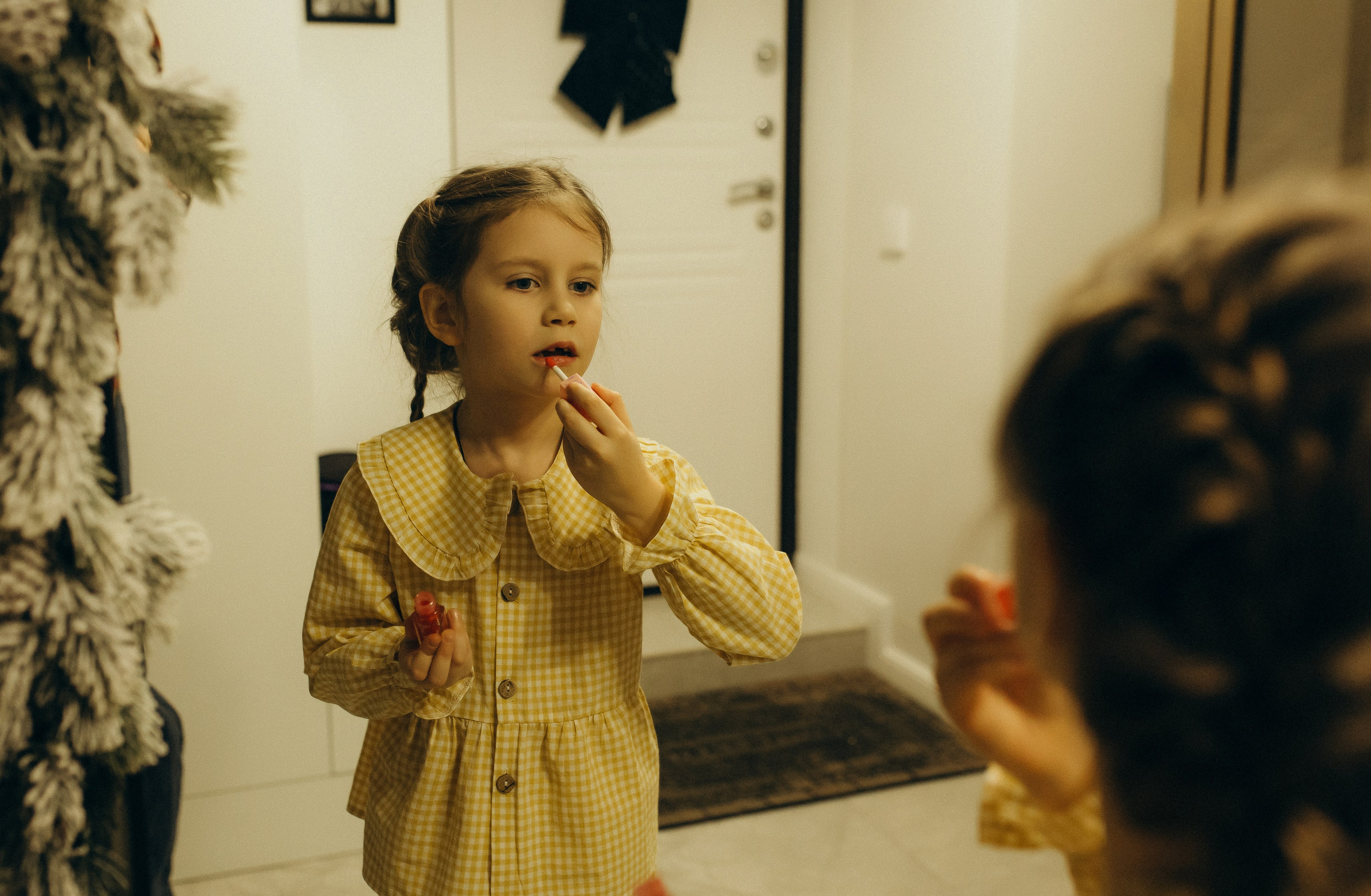 Домашняя история. Meryfotoidea