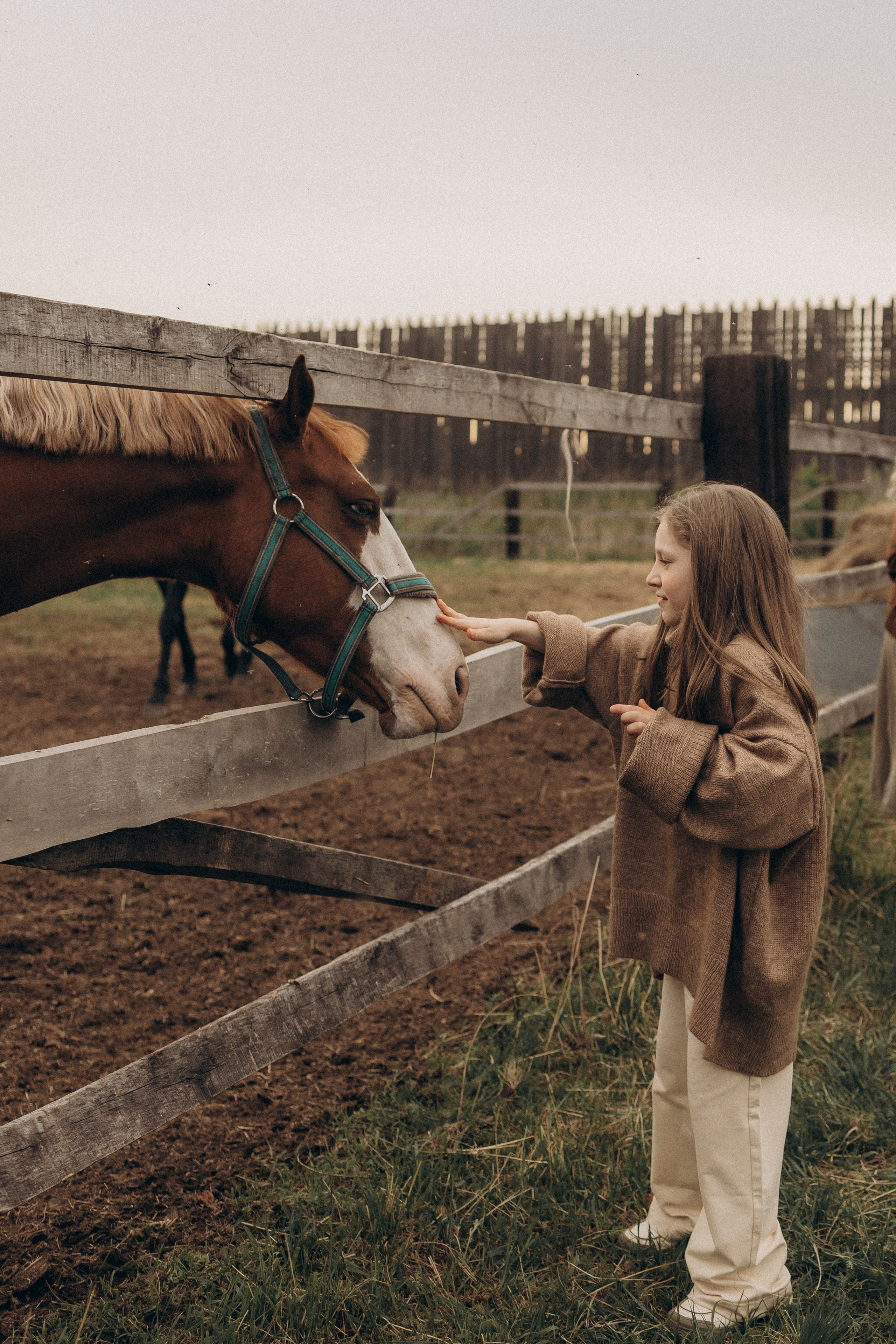 Семейная в поле. Эльвира Галимьянова — семейный фотограф Екатеринбурга
