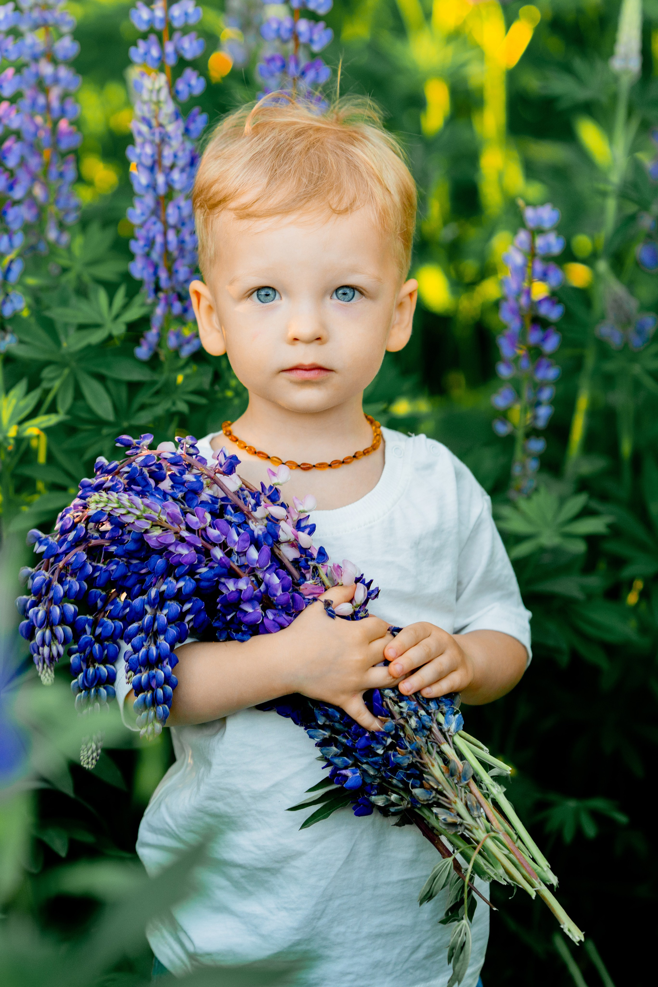 Люпины. Фотограф Юлия Попова